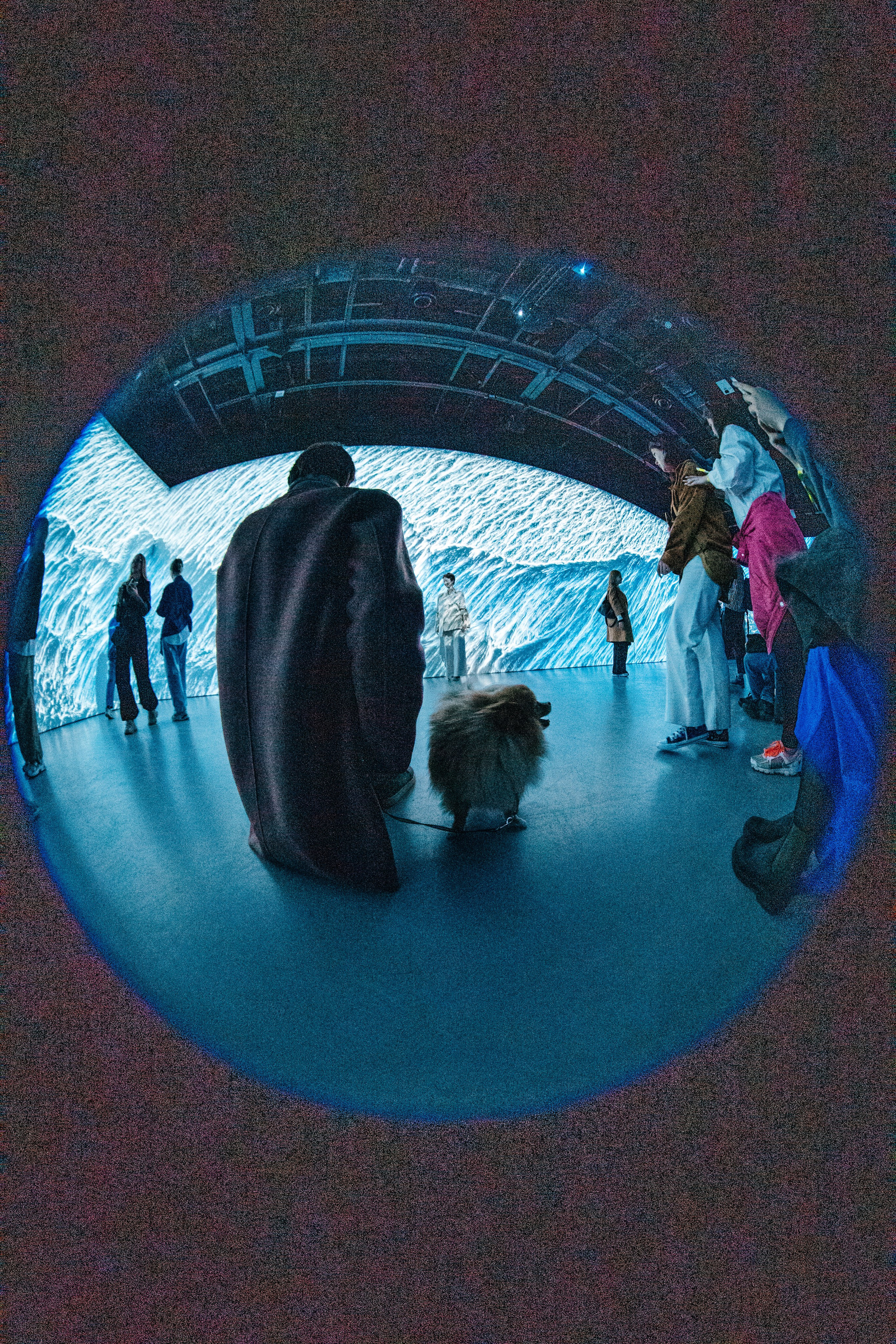 NUR 2024. Главная