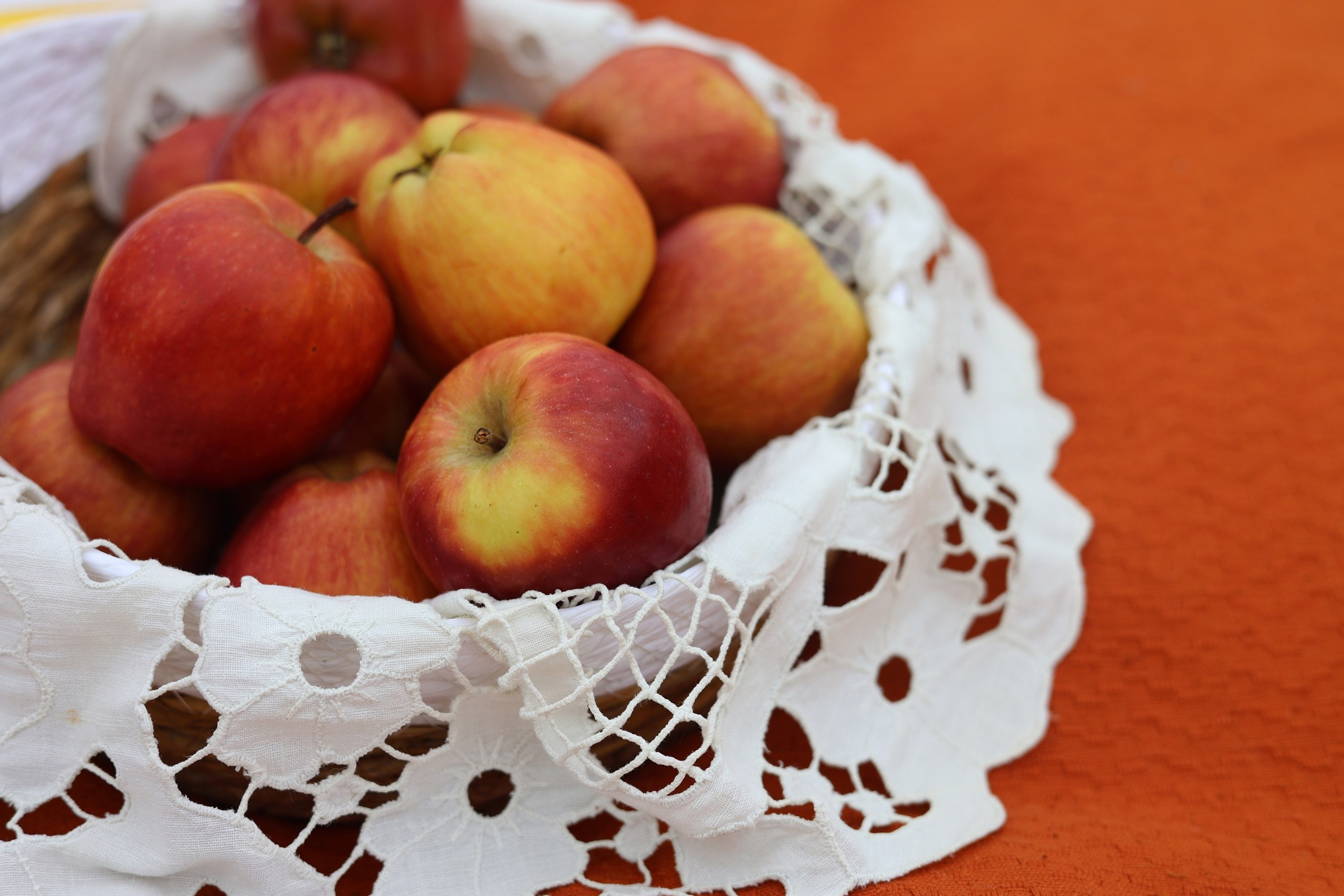 Пикник на природе. Фотограф | Видеограф в Кургане, Тюмени и Челябинске