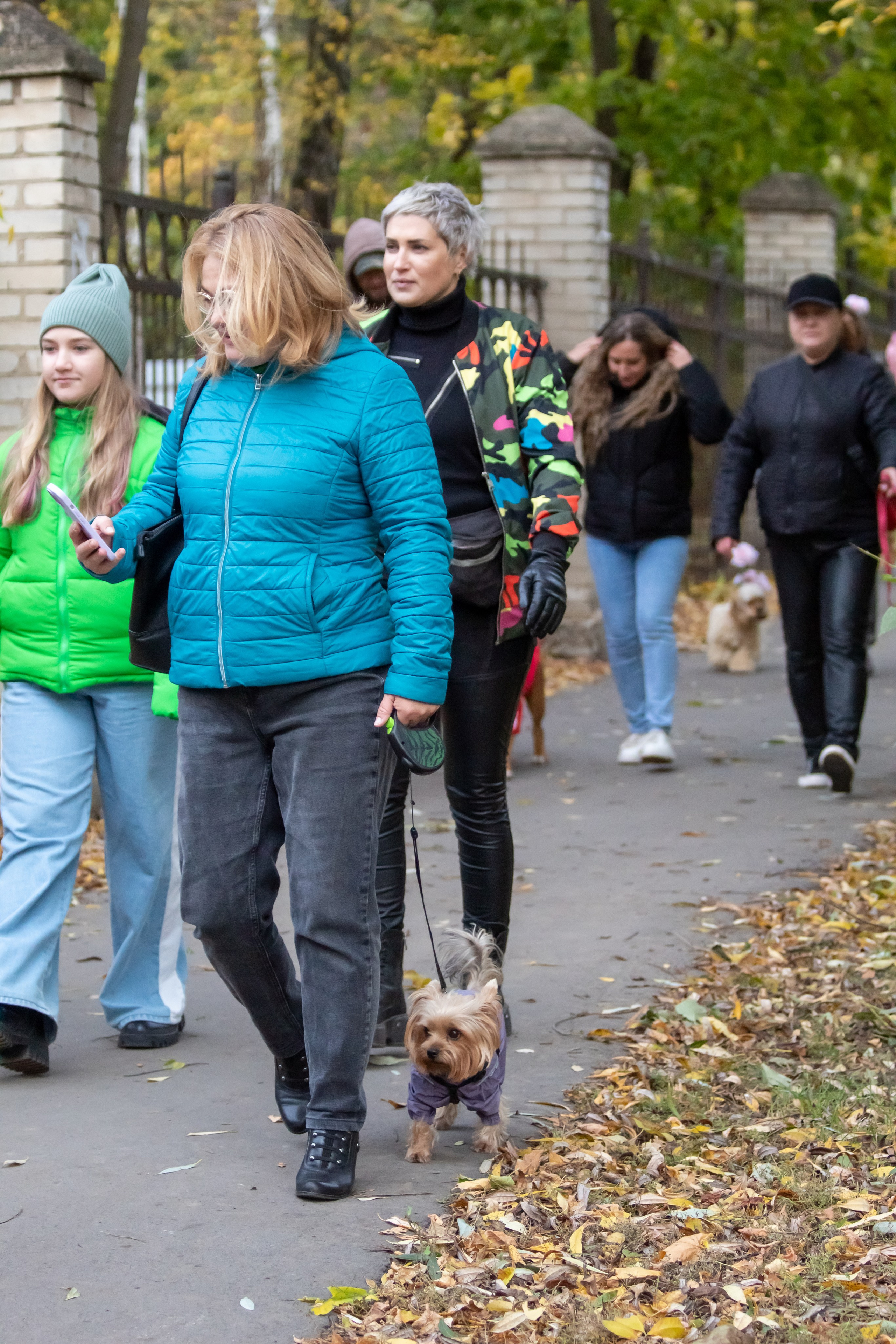 Костюмированный парад собак. Фотограф анималист — Тула, Москва