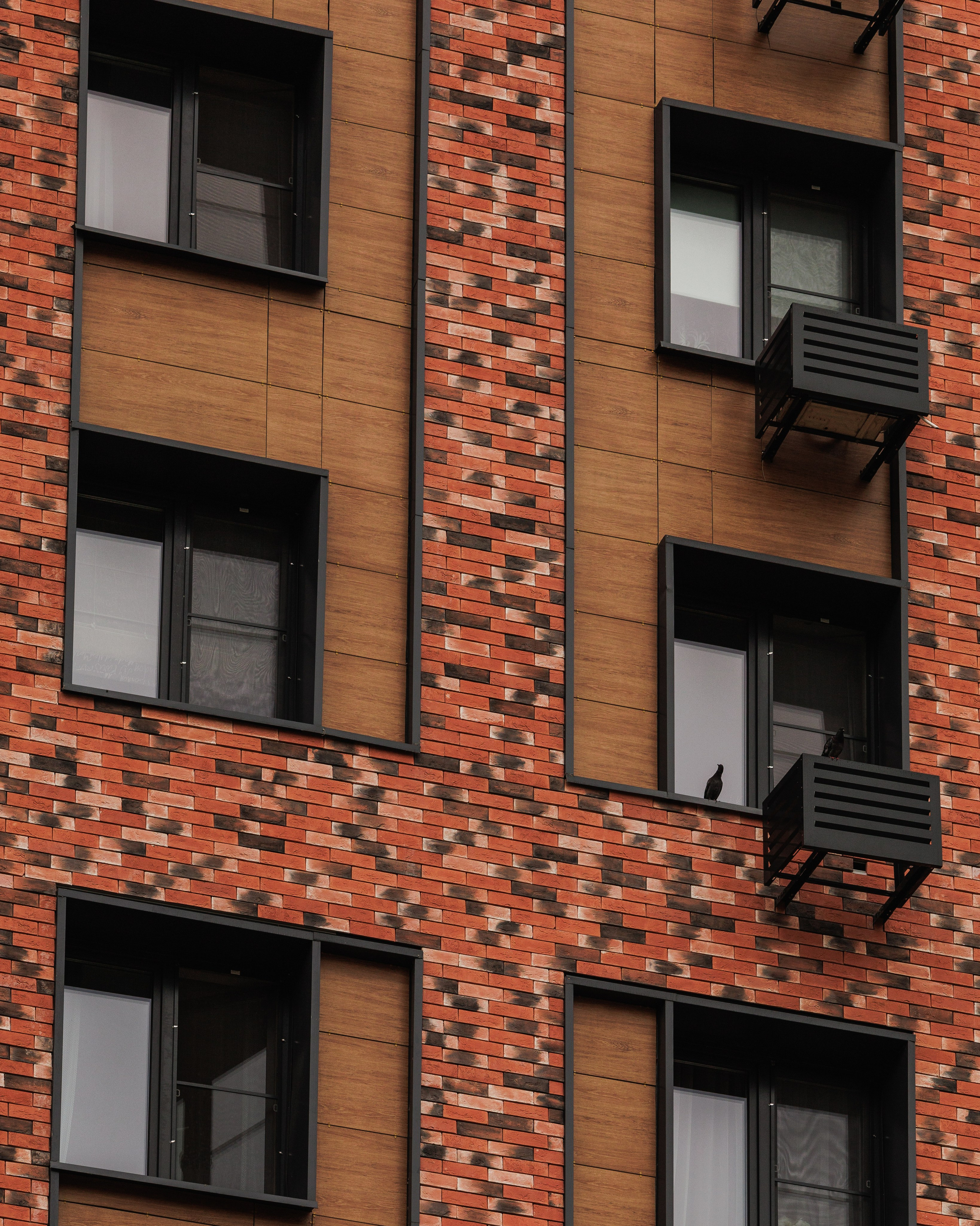 РЕНОВАЦИЯ — МОЛОДЦОВА 17. АЛТ Портфолио