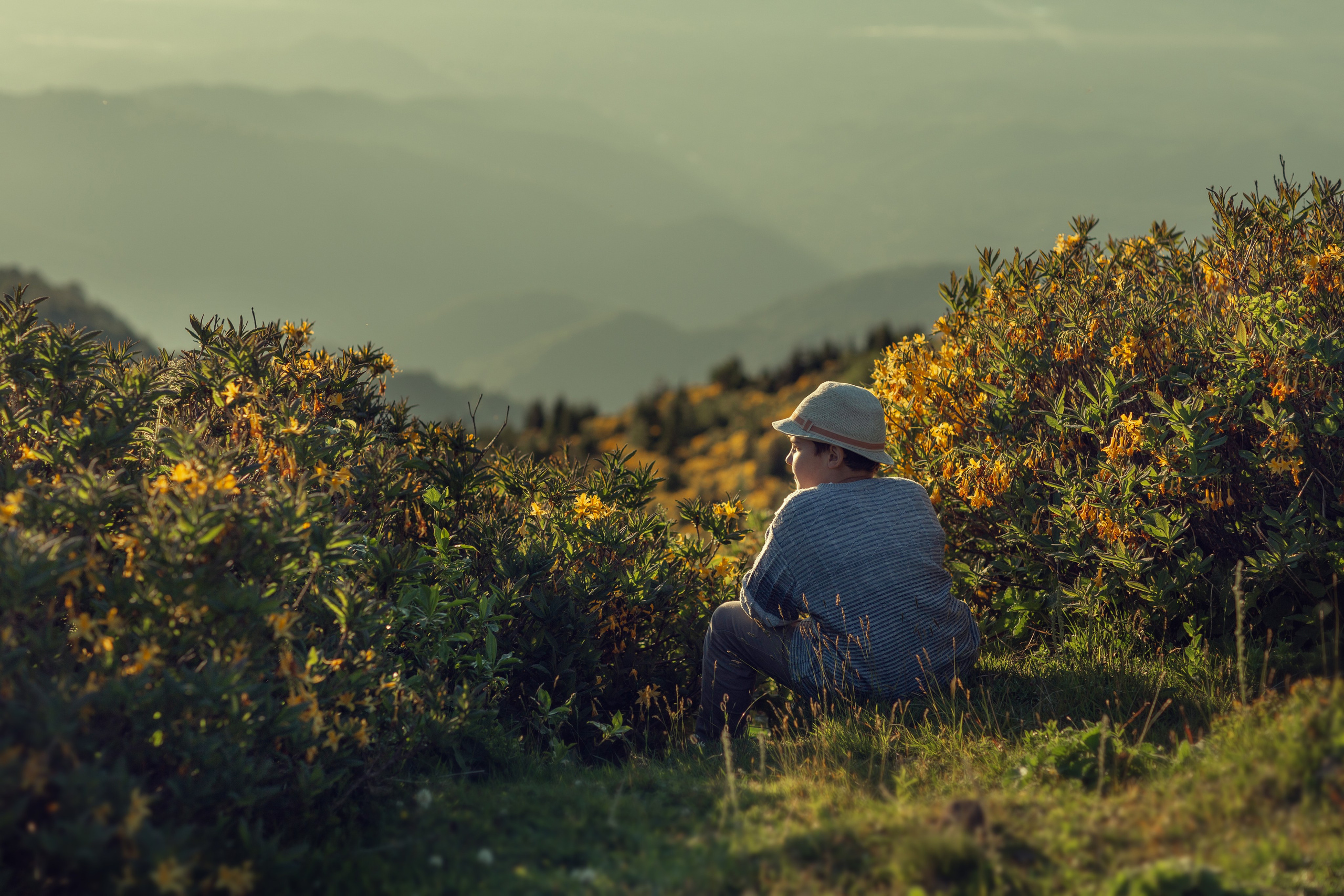 Мои работы. Обо мне