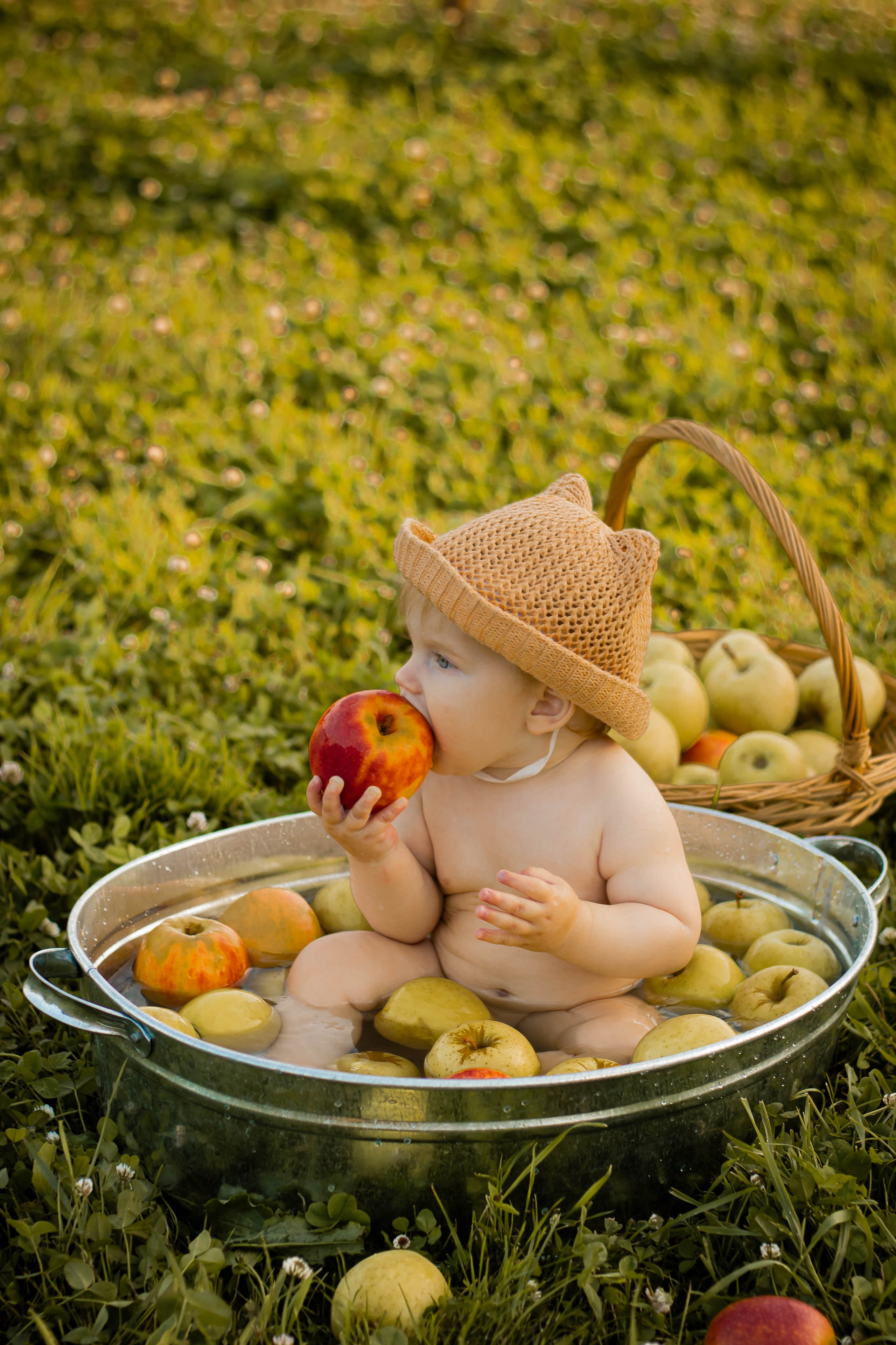 Яблочный рай. Семейный и детский фотограф в Павловском Посаде Сарапкина Наталья