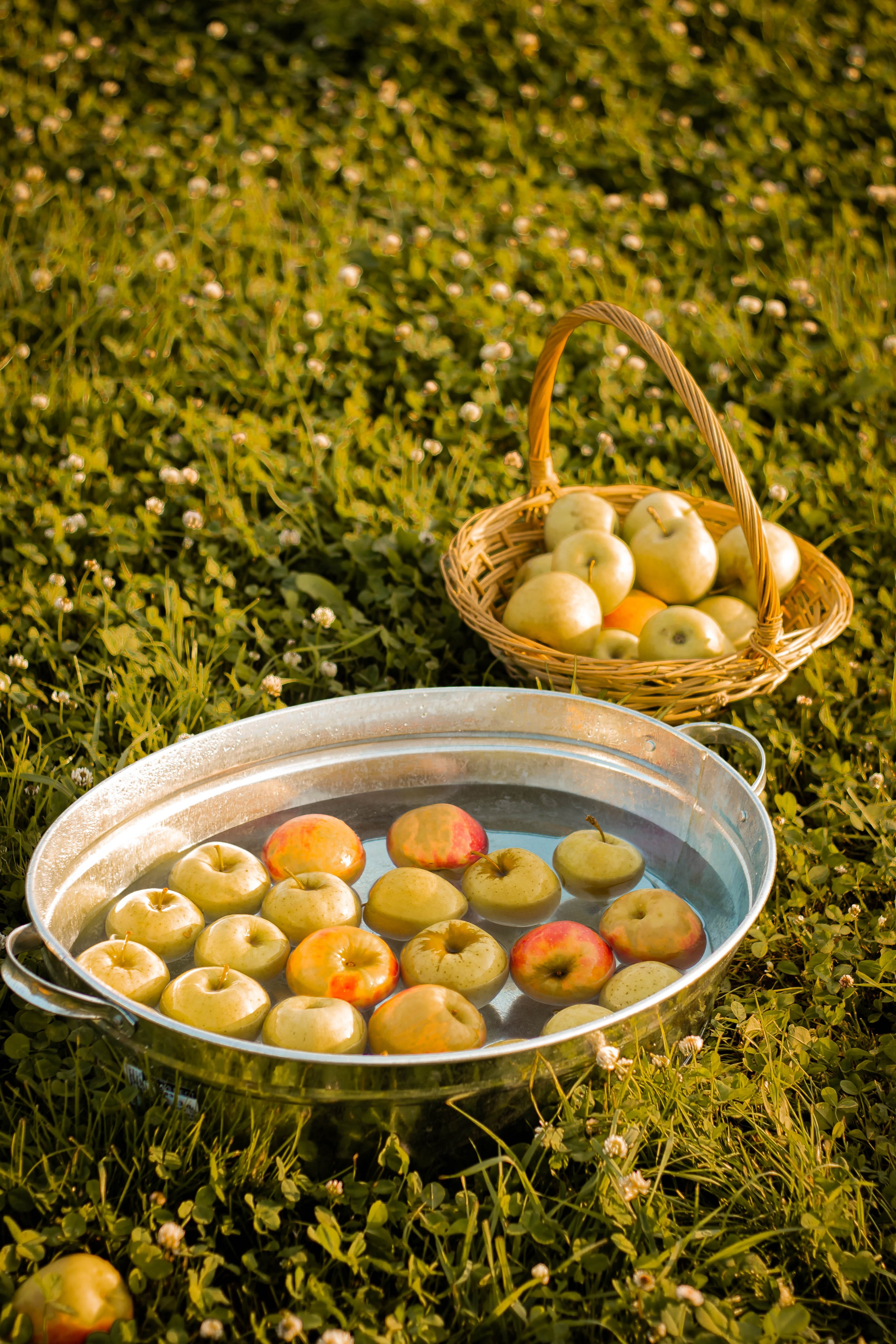 Яблочный рай. Семейный и детский фотограф в Павловском Посаде Сарапкина Наталья