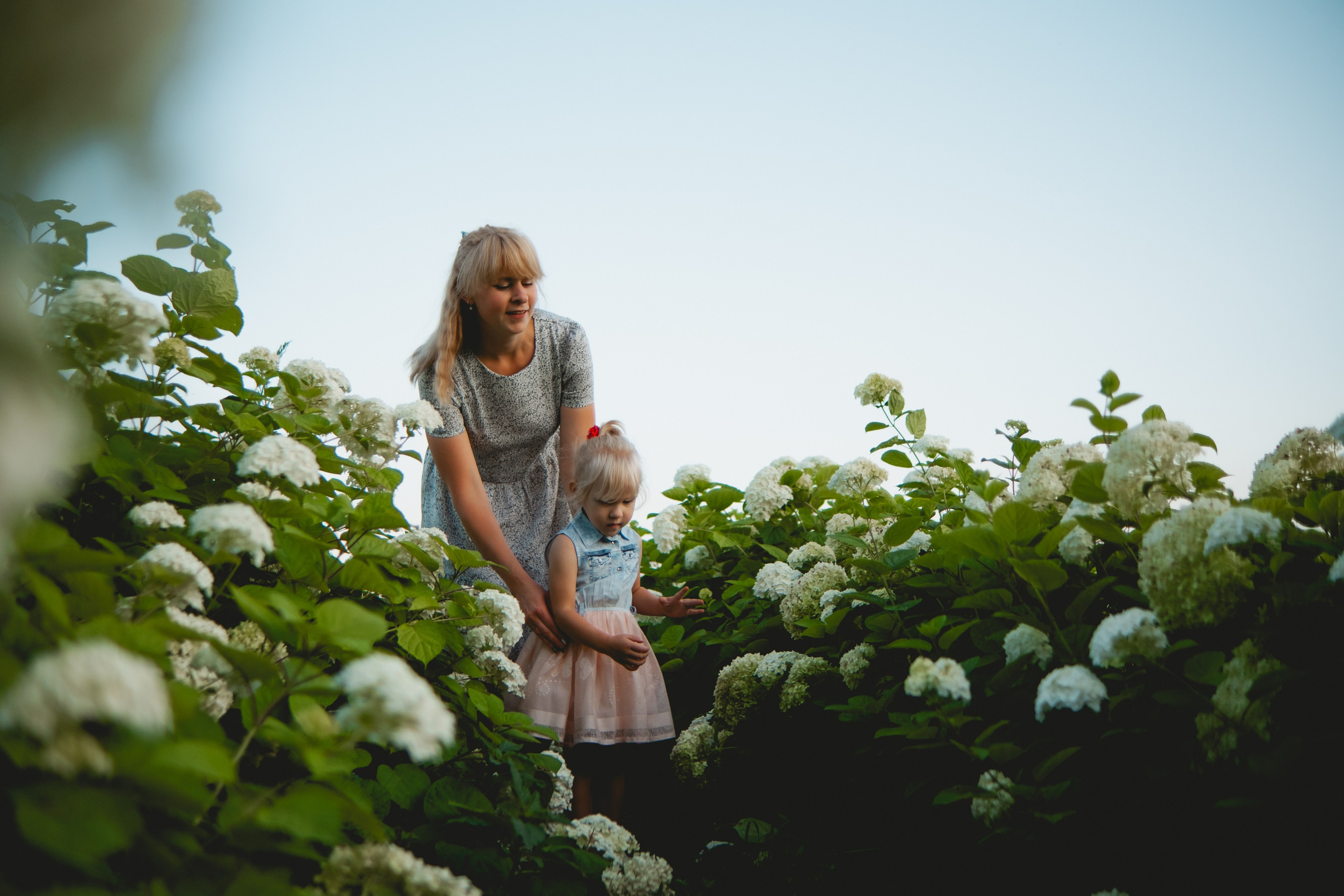 Семейная съемка в лованде. Nattie.ph