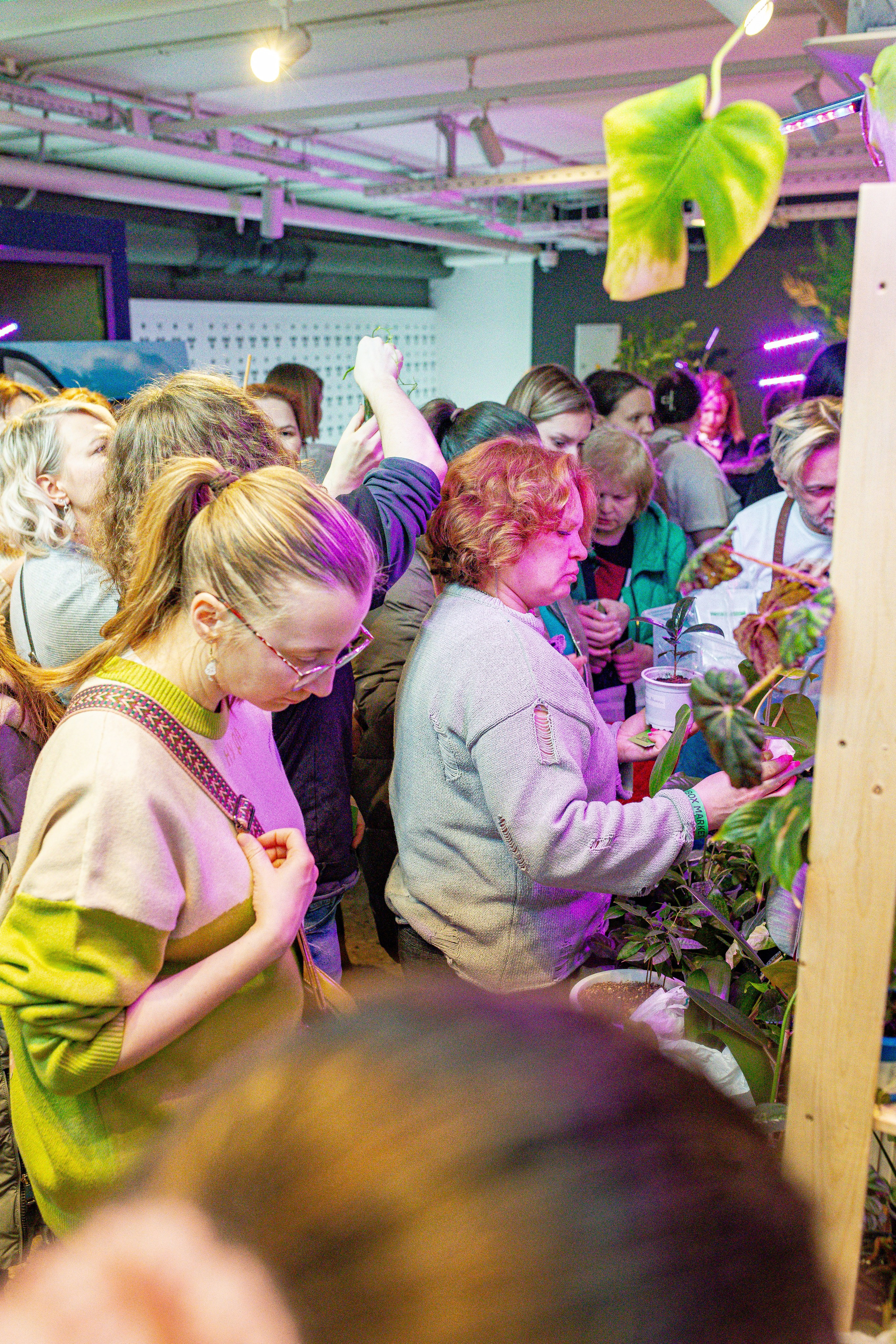 Growbox 1–2 марта. Александра Куликова фотограф, Москва