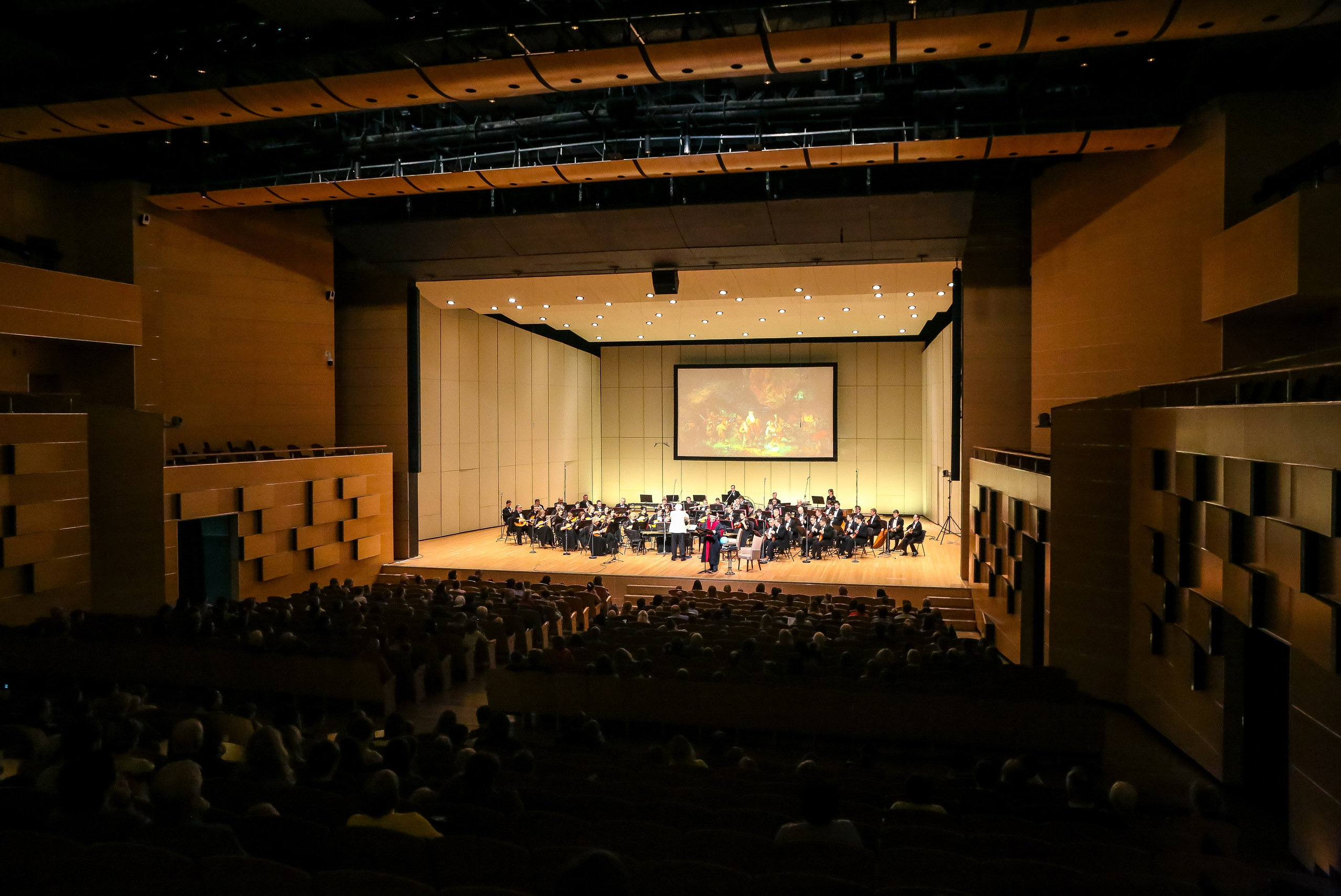 Концерт в Филармонии-2 по сказкам Андерсена. Дарья Письменюк / Darya Leitstern — фотограф, музыкант, журналист, путешественник