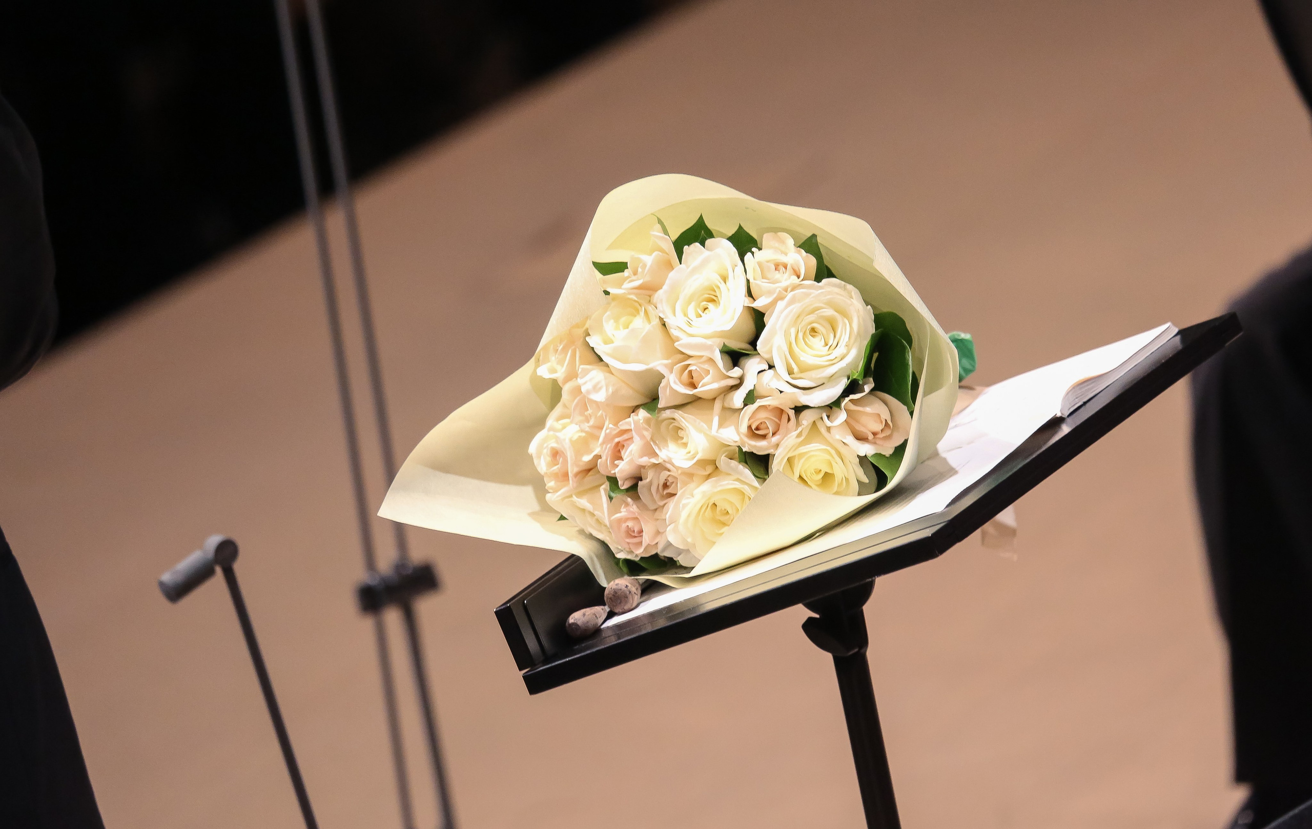 Буря и протест — Владимир Юровский сыграл Гайдна и Шостаковича в новом зале Зарядье. Дарья Письменюк / Darya Leitstern — фотограф, музыкант, журналист, путешественник