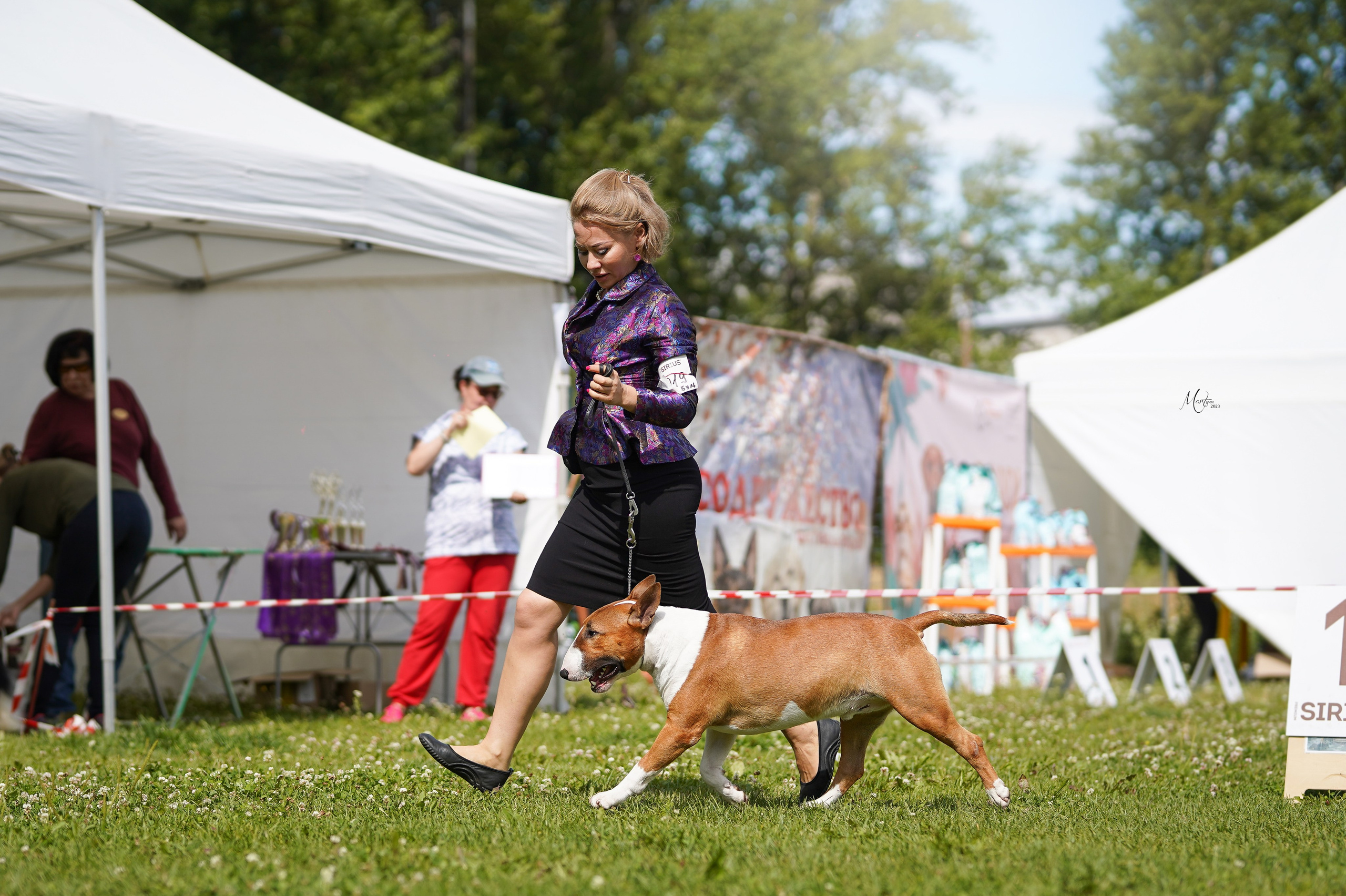 Выставки 2023. Фотограф-анималист в Санкт-Петербурге Яна Мартынова