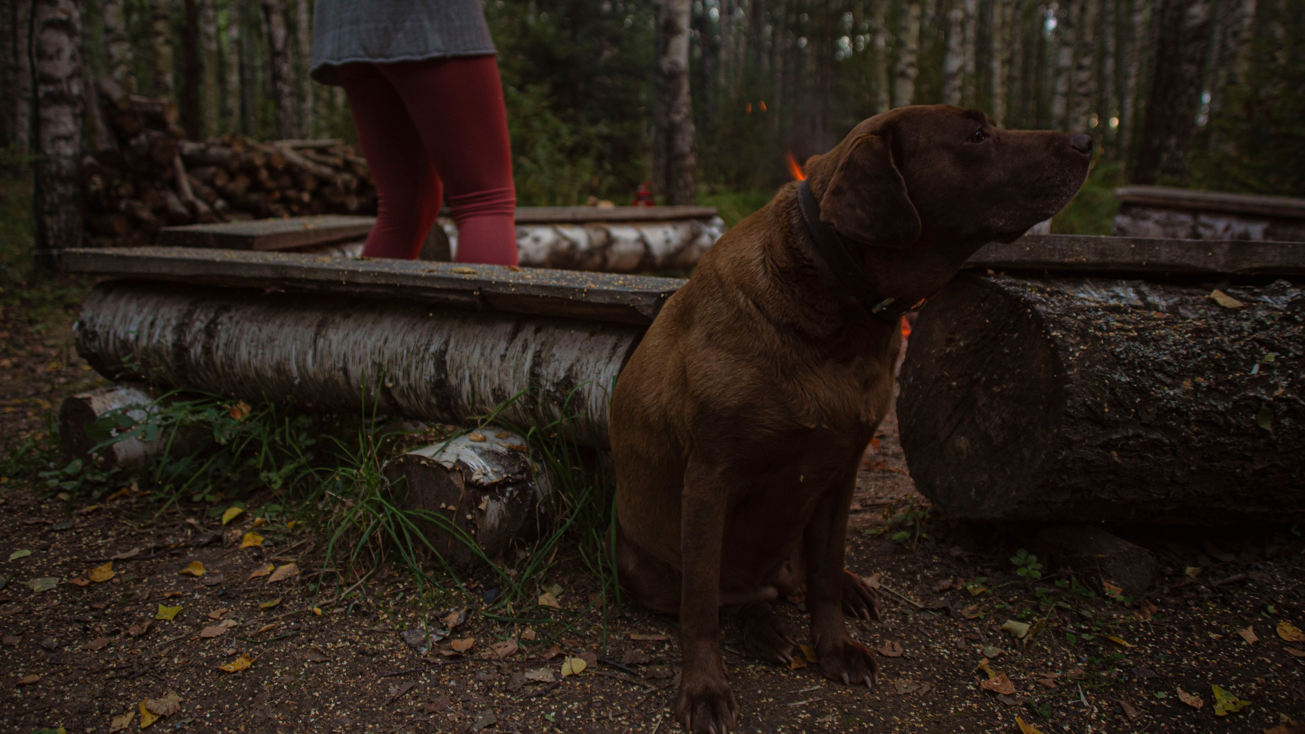 Пейзажи. Фотограф Синицына Анна