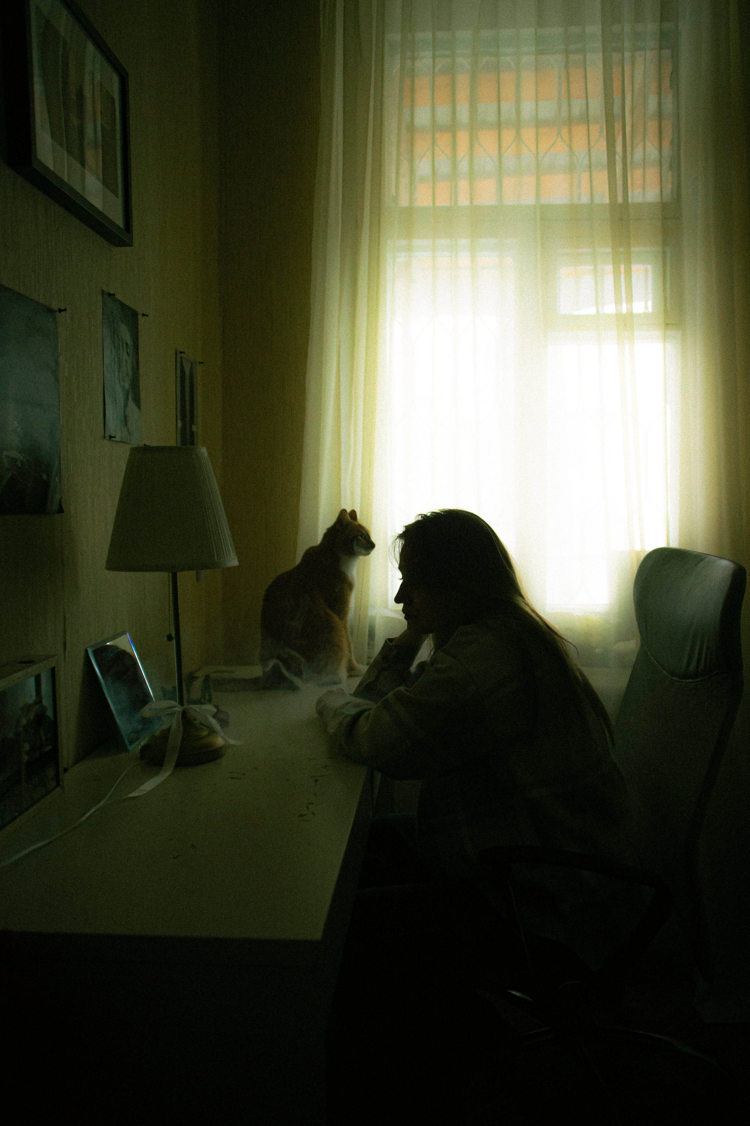 Фотосессии в помещениях. Фотограф Синицына Анна