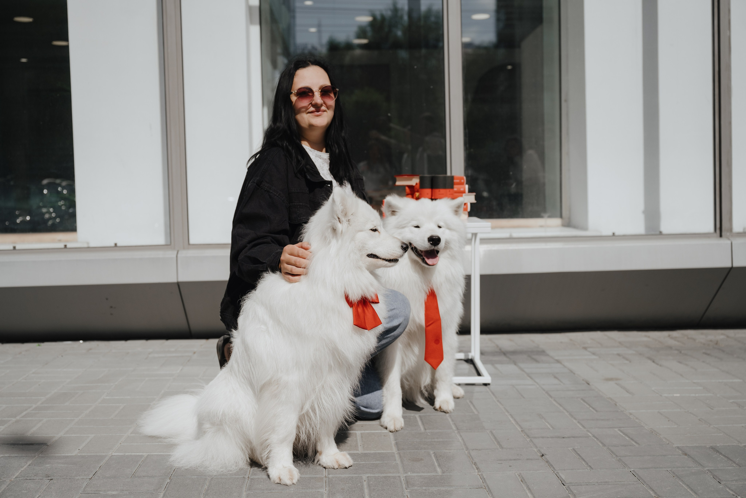 Альфа банк Карла Маркса 55. Фотограф Кристина Тумаева. Самоед Новосибирск