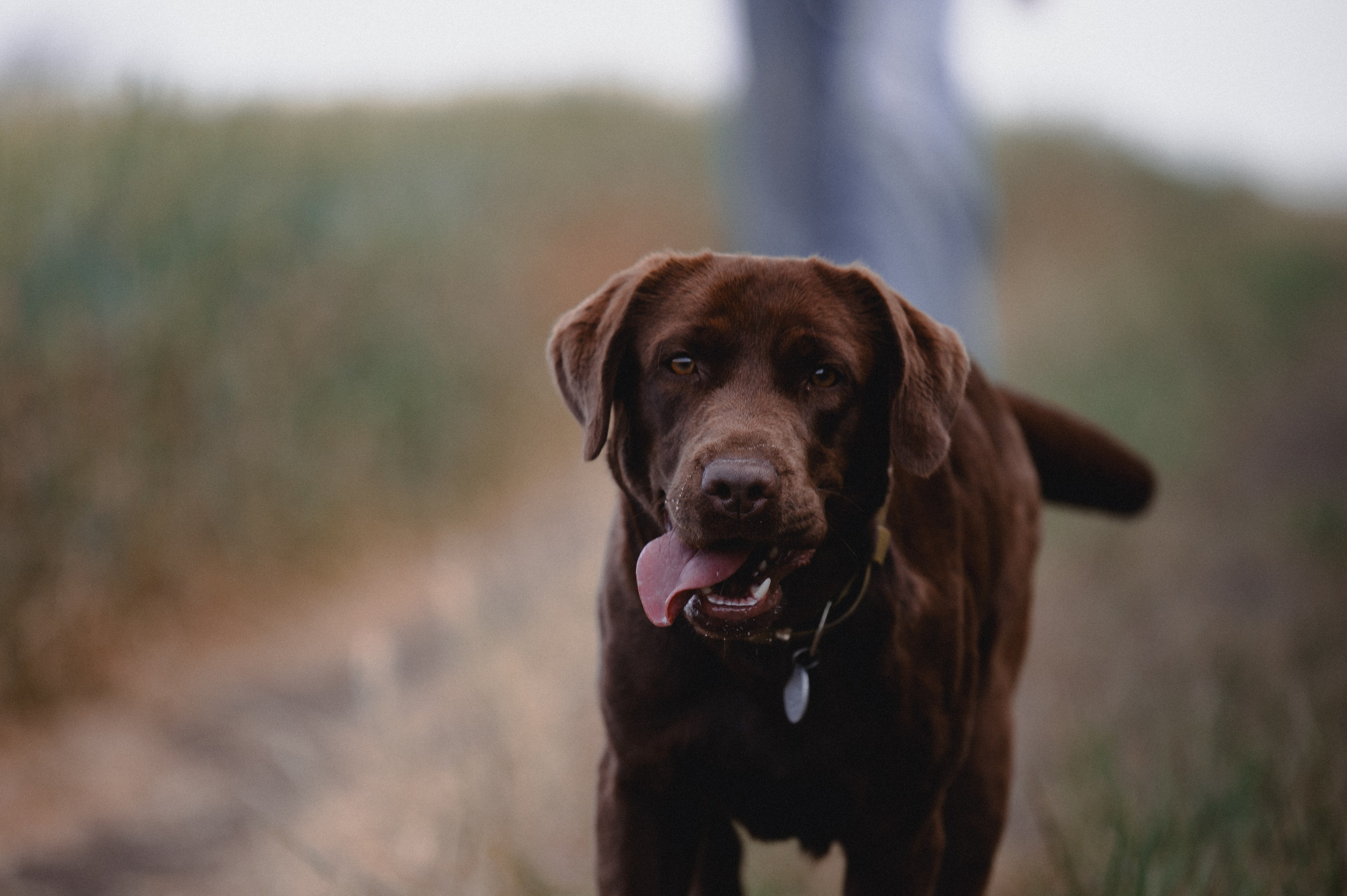 Анечка и Дэя. Фотограф в Ростове —на — Дону