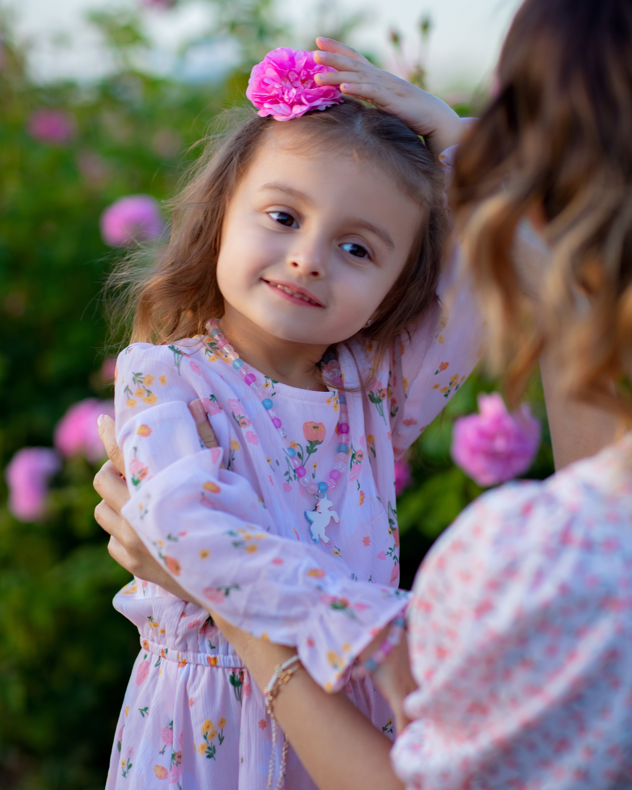 Чайная роза. Фотограф Севастополь/Крым Светлана Евтушенко