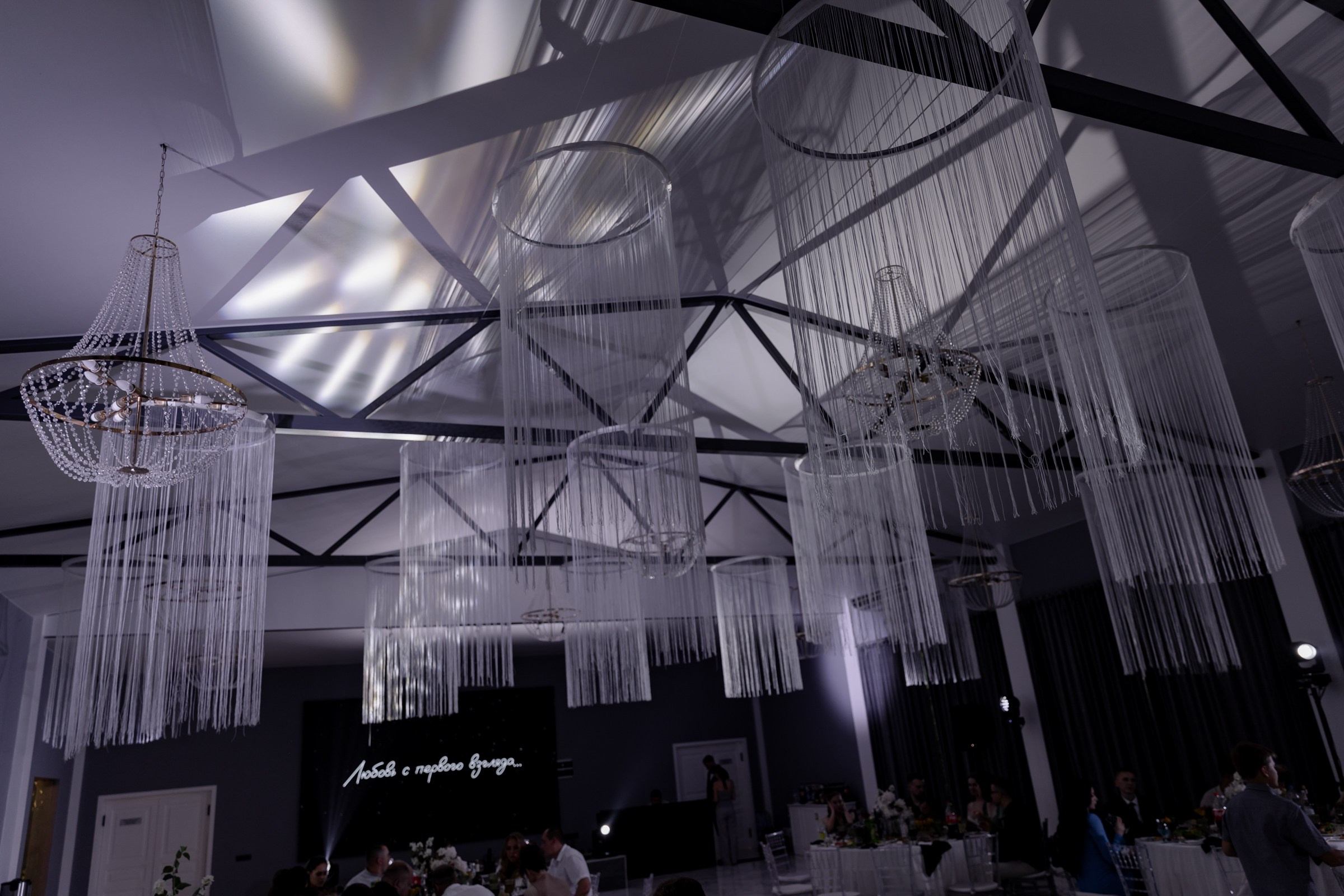 Свадьба пес и котики. Dima Lemeshevsky