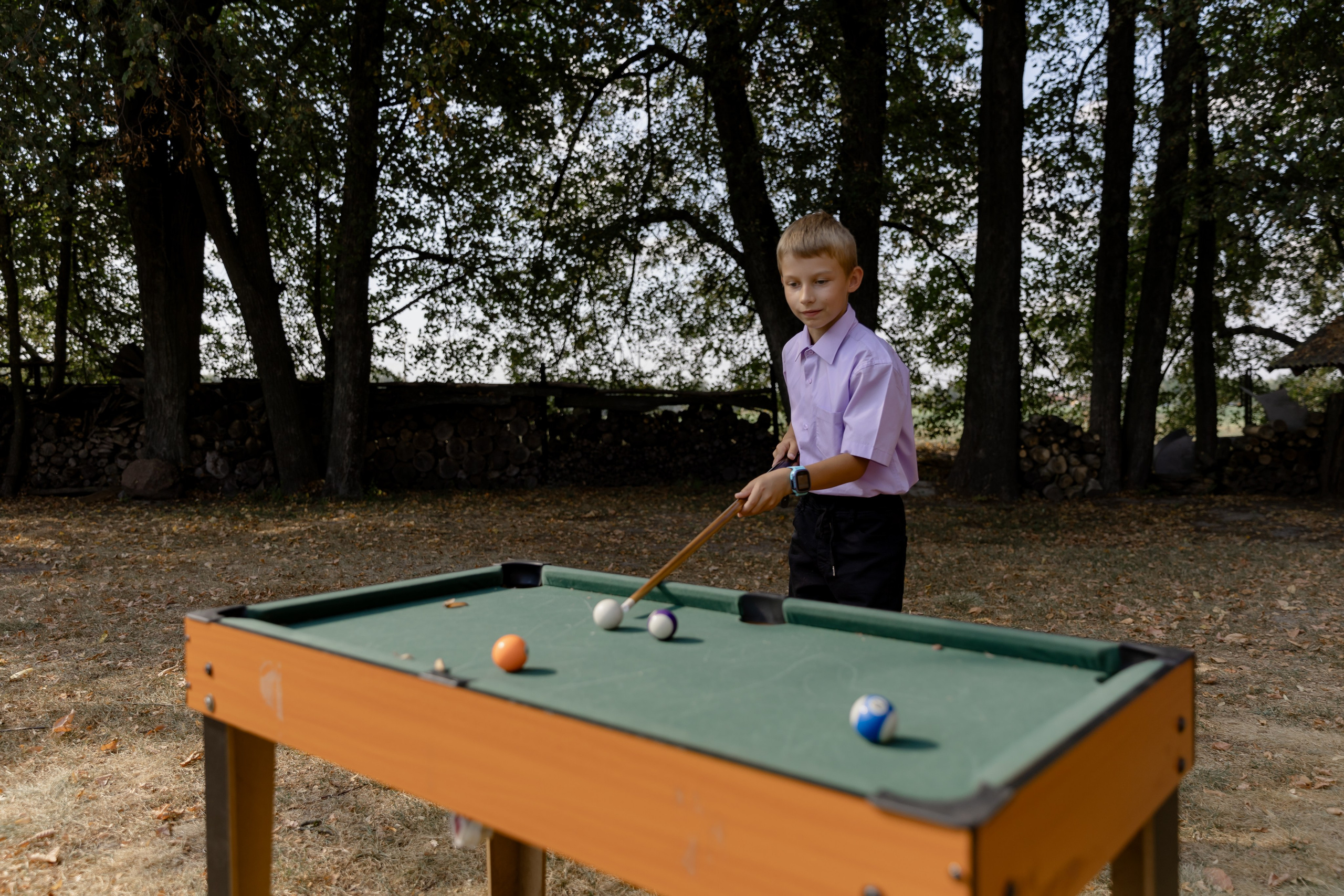 Виноградники. Dima Lemeshevsky