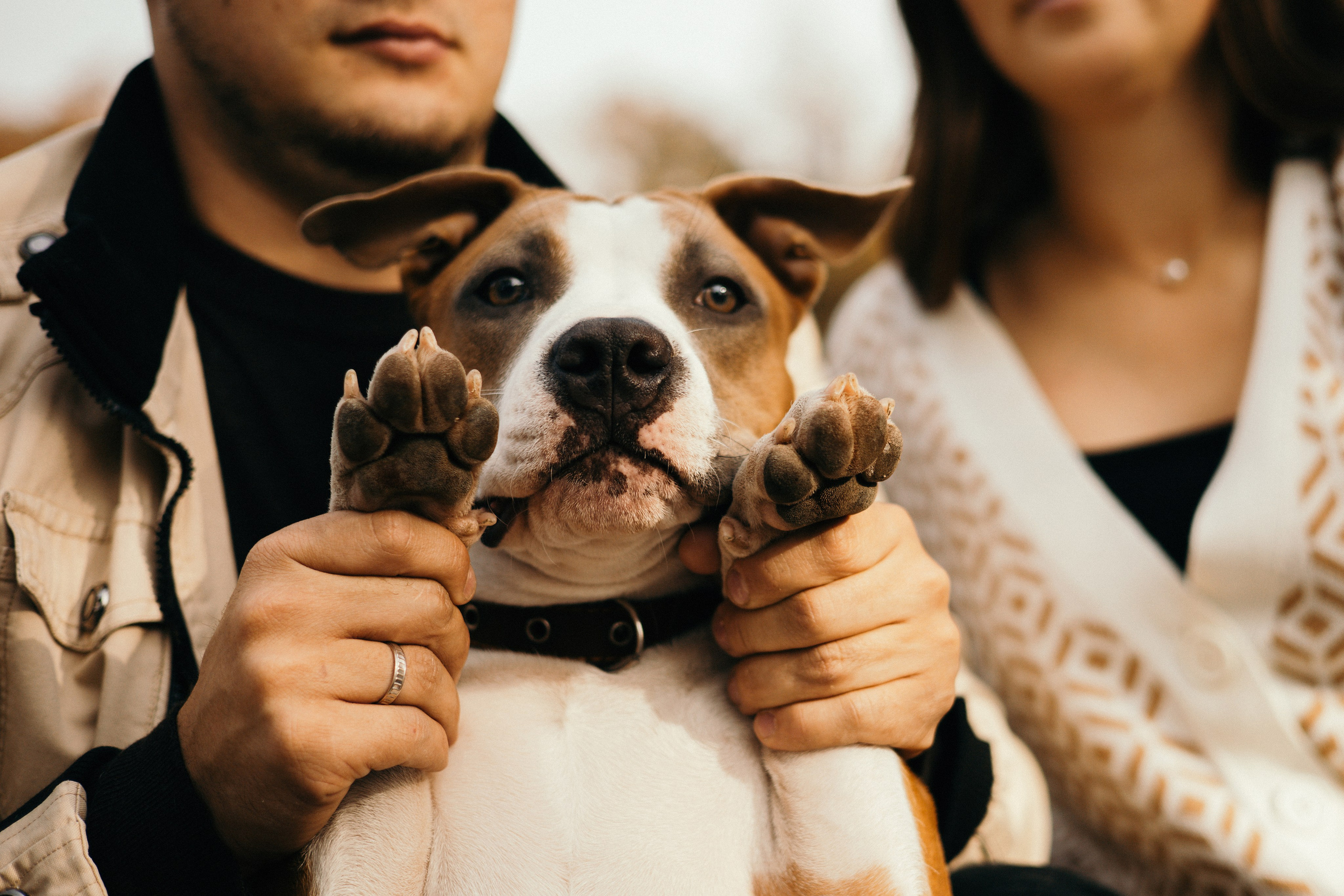 Лаффи и ее семья. Фотограф — анималист Владивосток, Алина