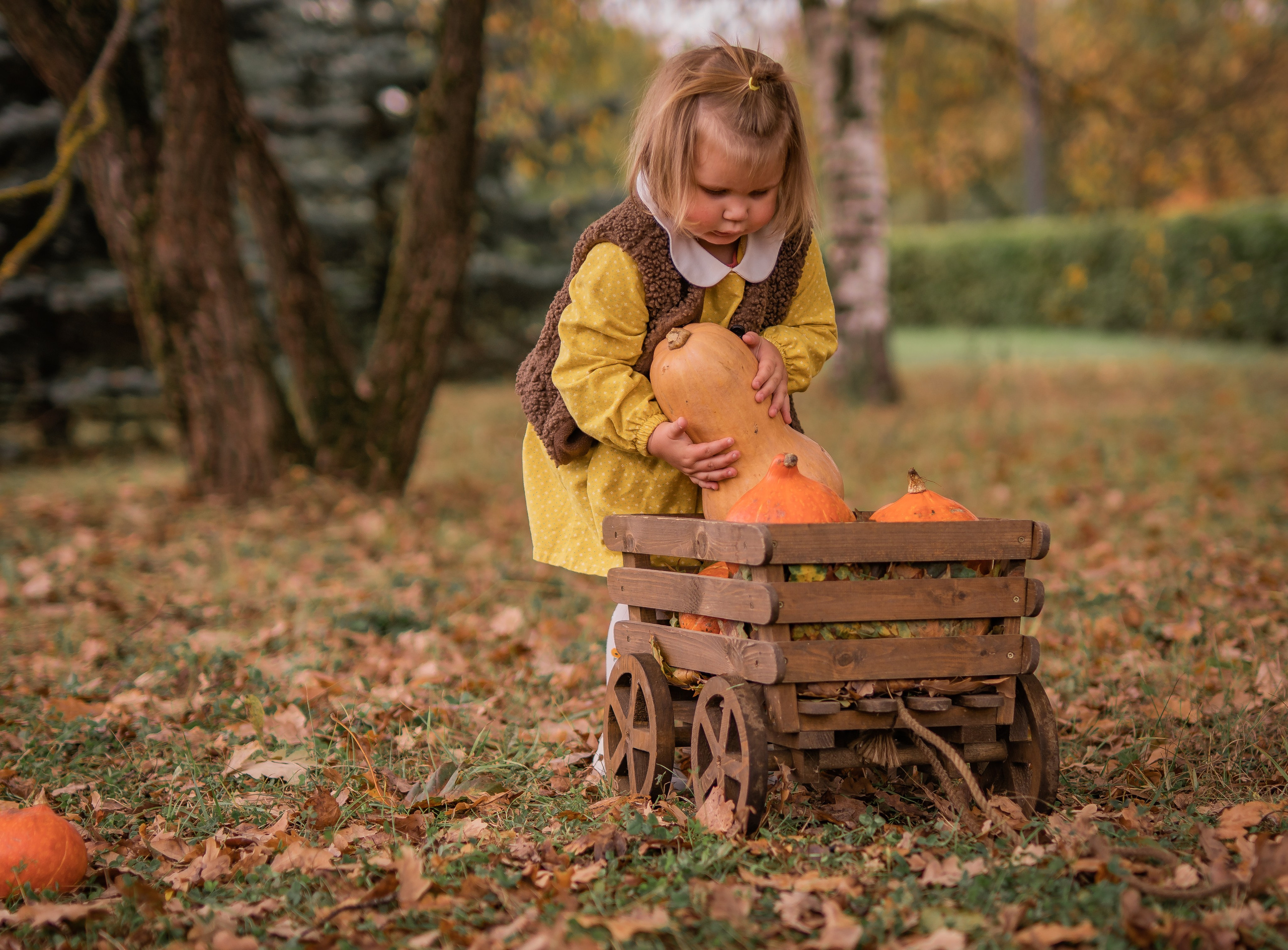 Осенняя история. Семейный фотограф Ефремова Виктория
