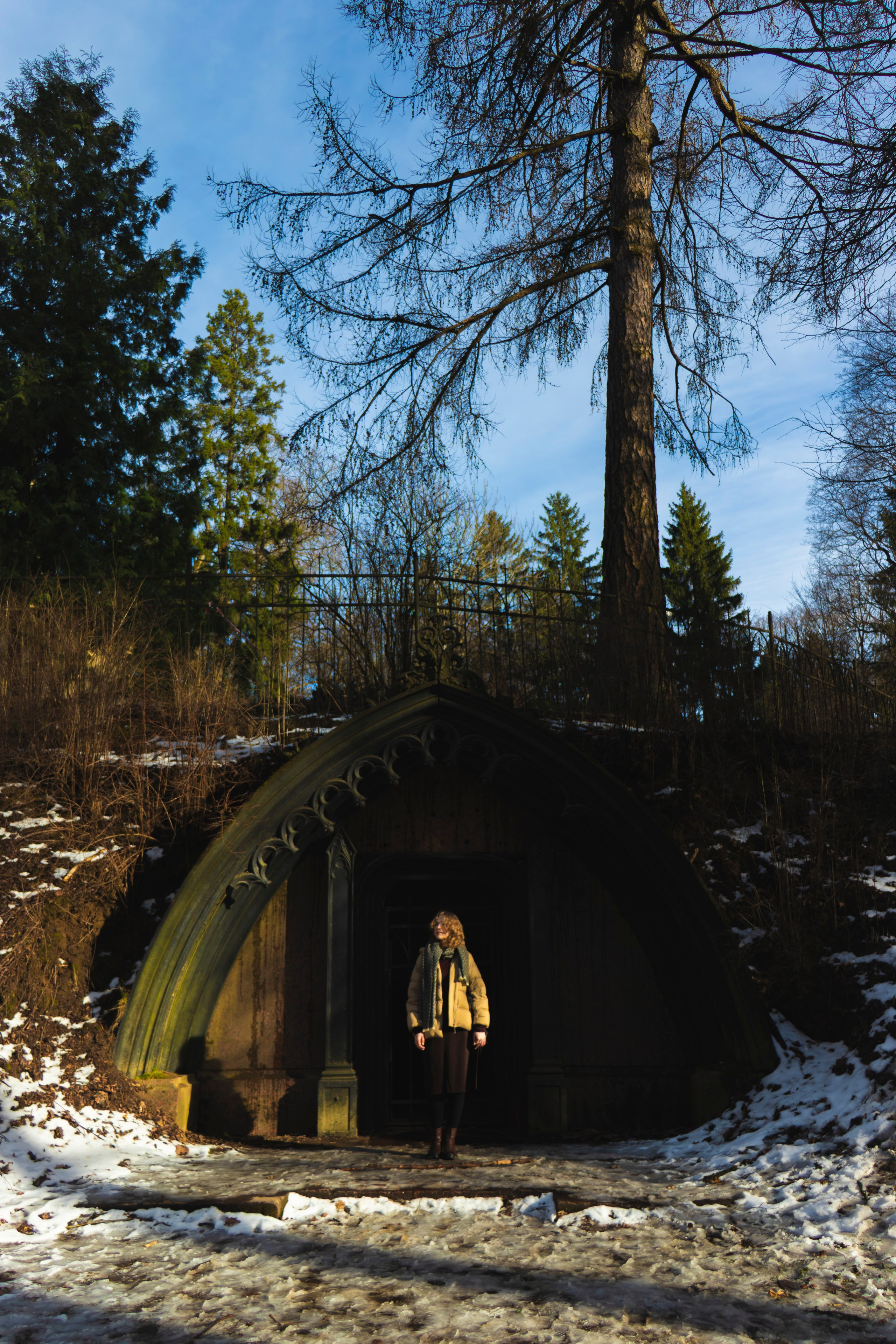 Из наблюдений. Плак или Квак