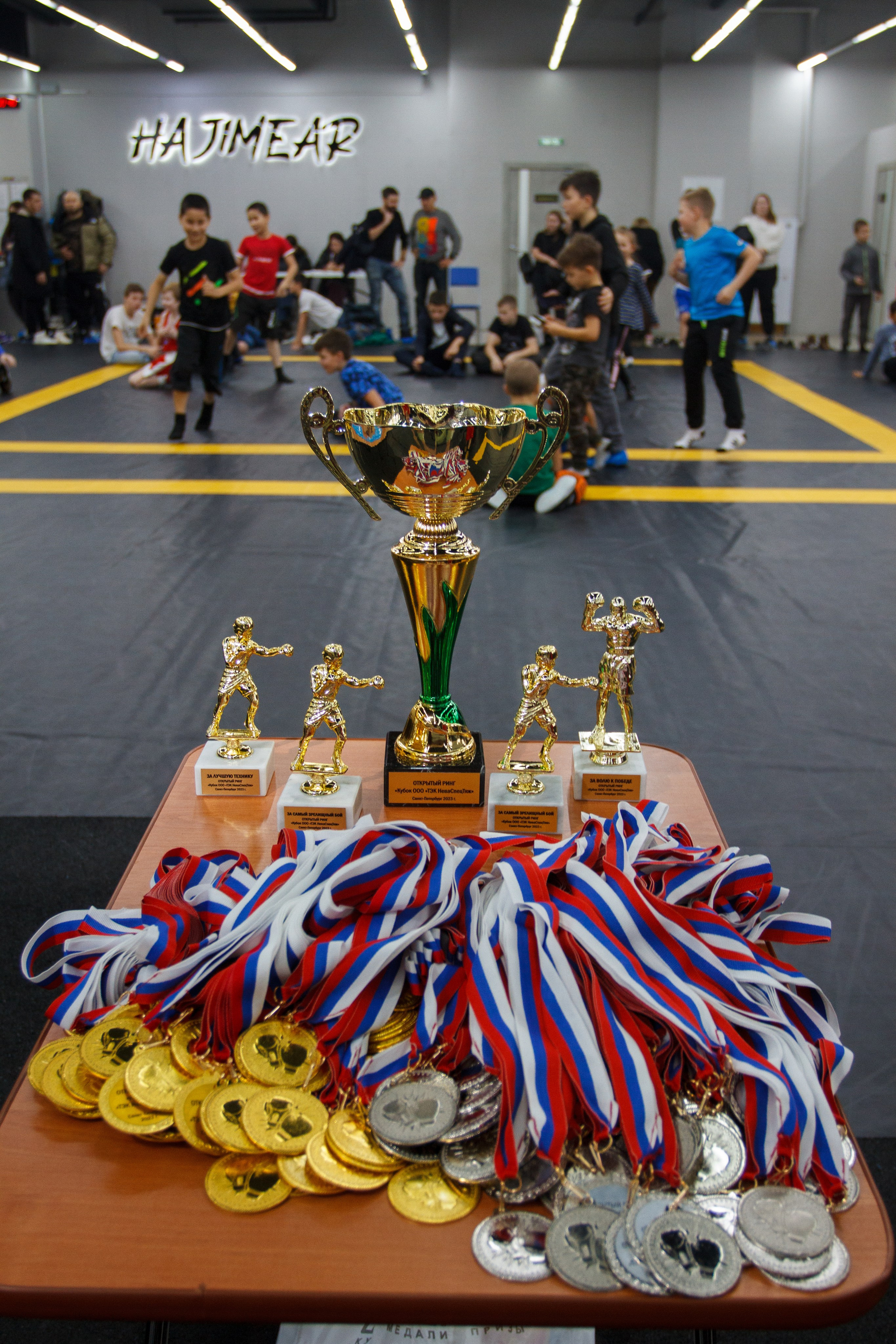 Открытый ринг «кубок ООО «ТЭК НеваСпецТяж». Фотограф Александр Заломаев