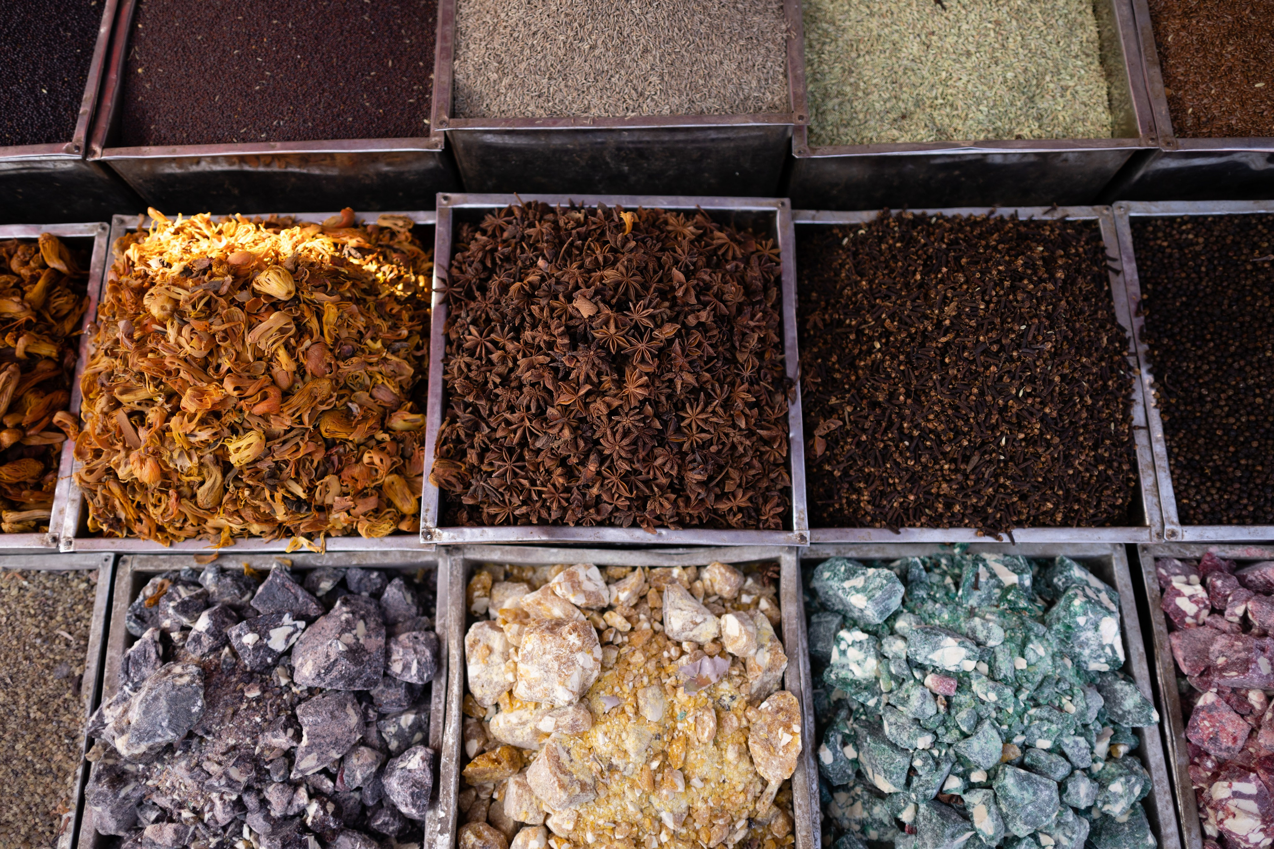 ГОА 2024. Руслан Плахтеев