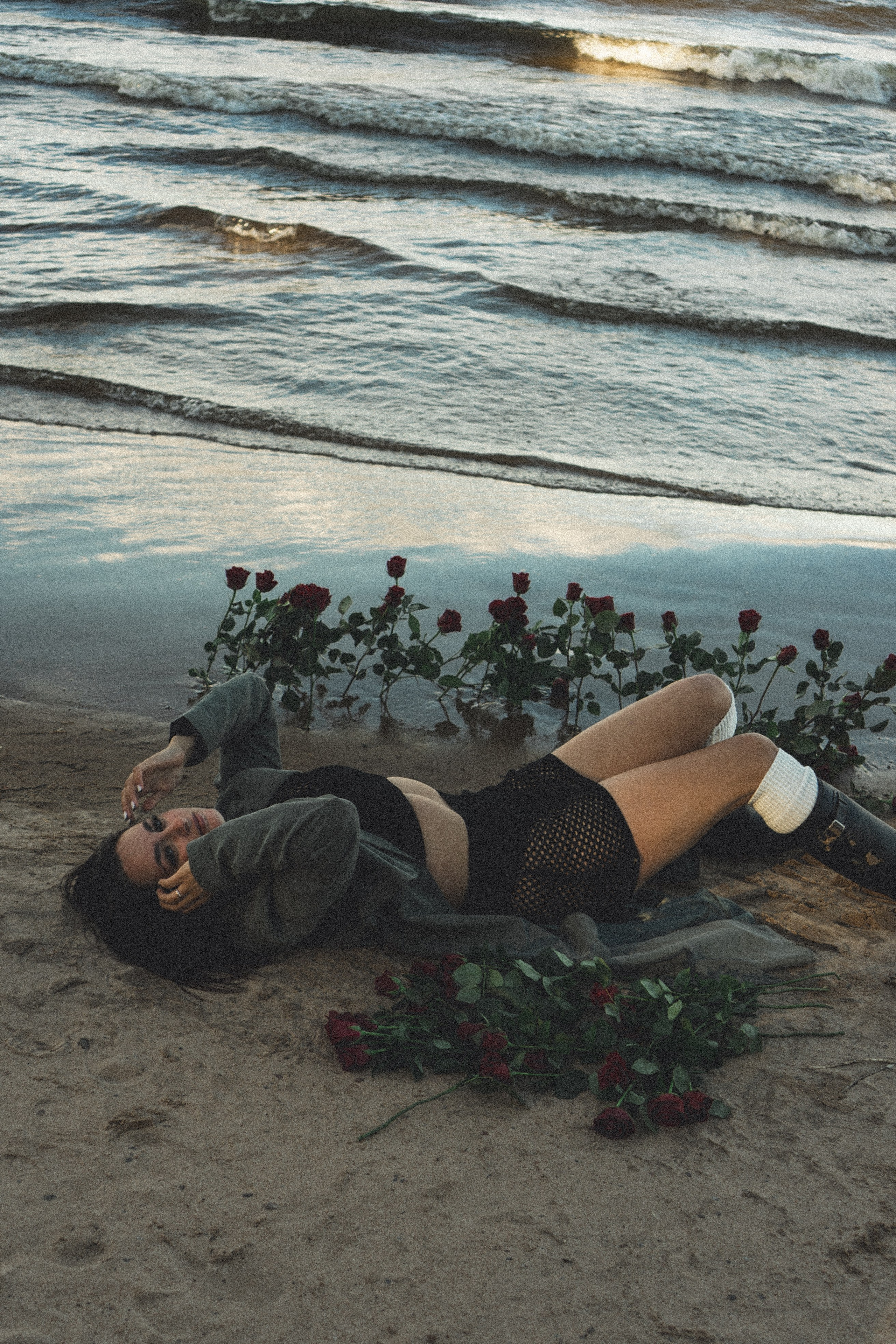 Розы. Профессиональный фотограф, Санкт-Петербург — Виктория Богомолова