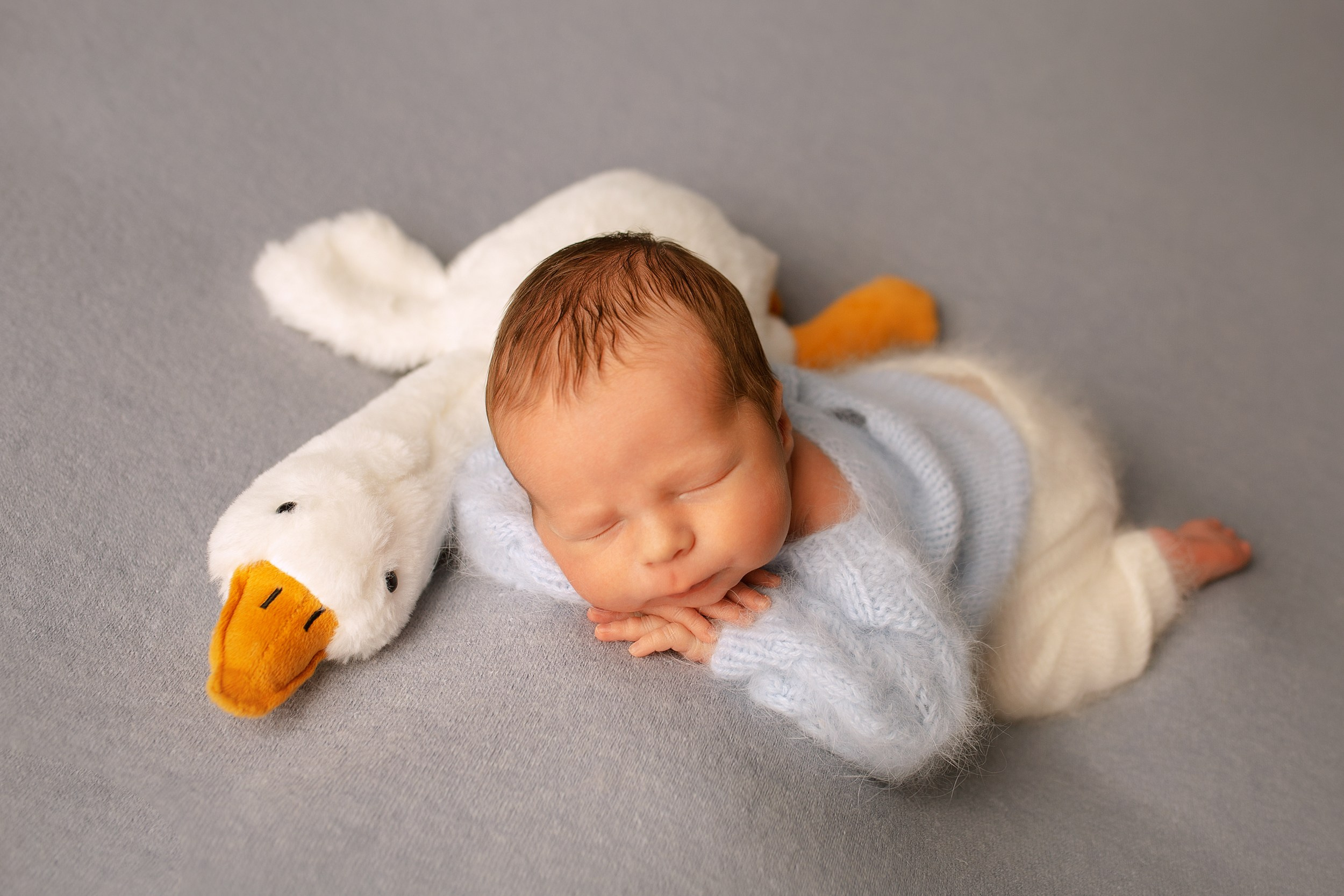 МАКСИМ Classic. Фотограф новорожденных Оксана Полевская