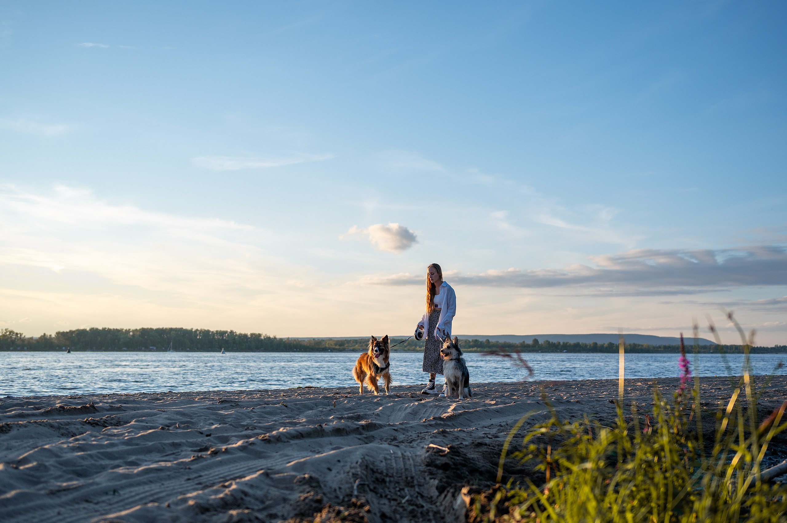 Лиза, Клопа и Хрюша. Главная