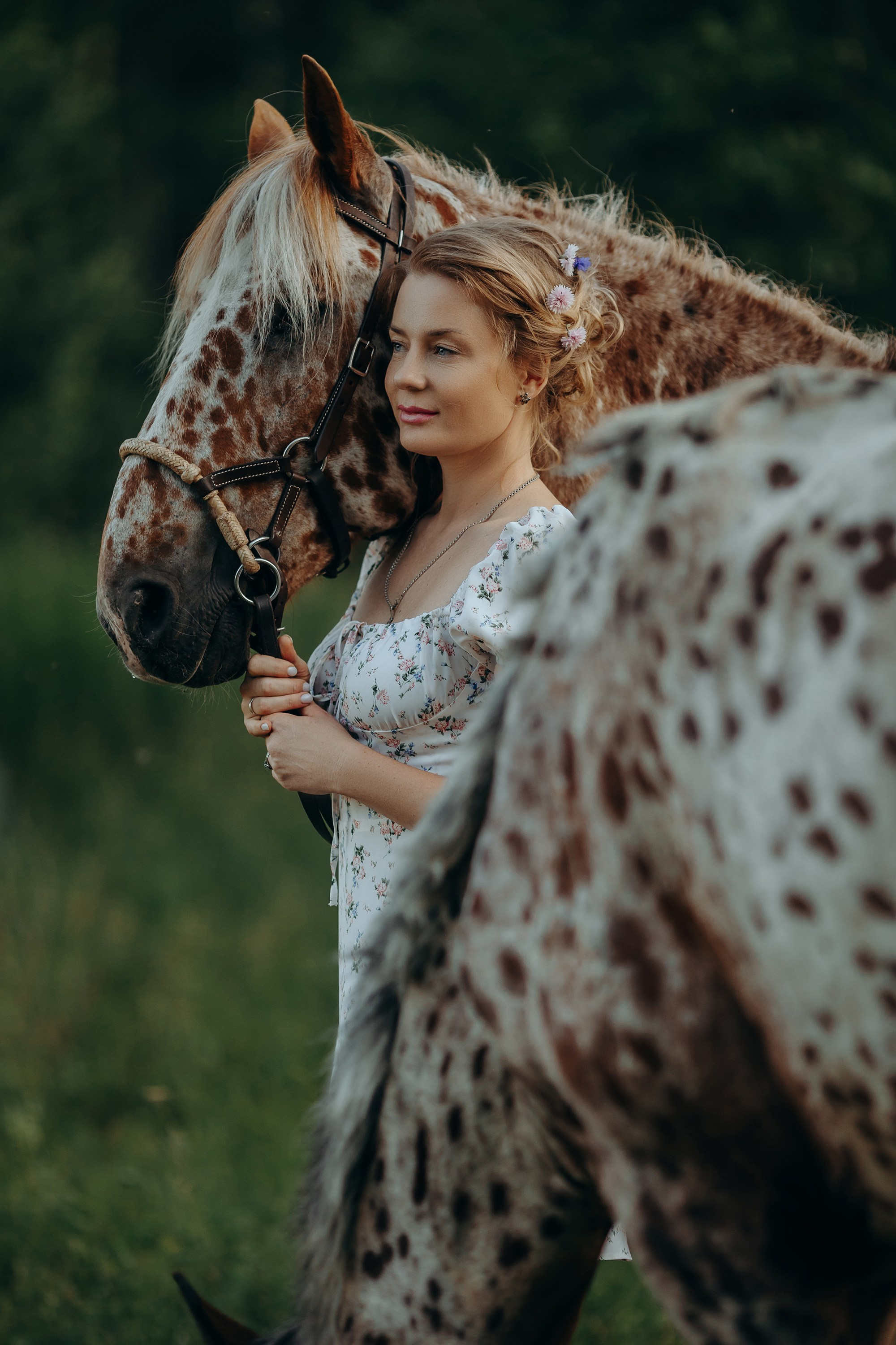 Пятнистая история. Анна Молчанова конный фотограф в Тюмени | фотосессии с лошадьми Тюмень