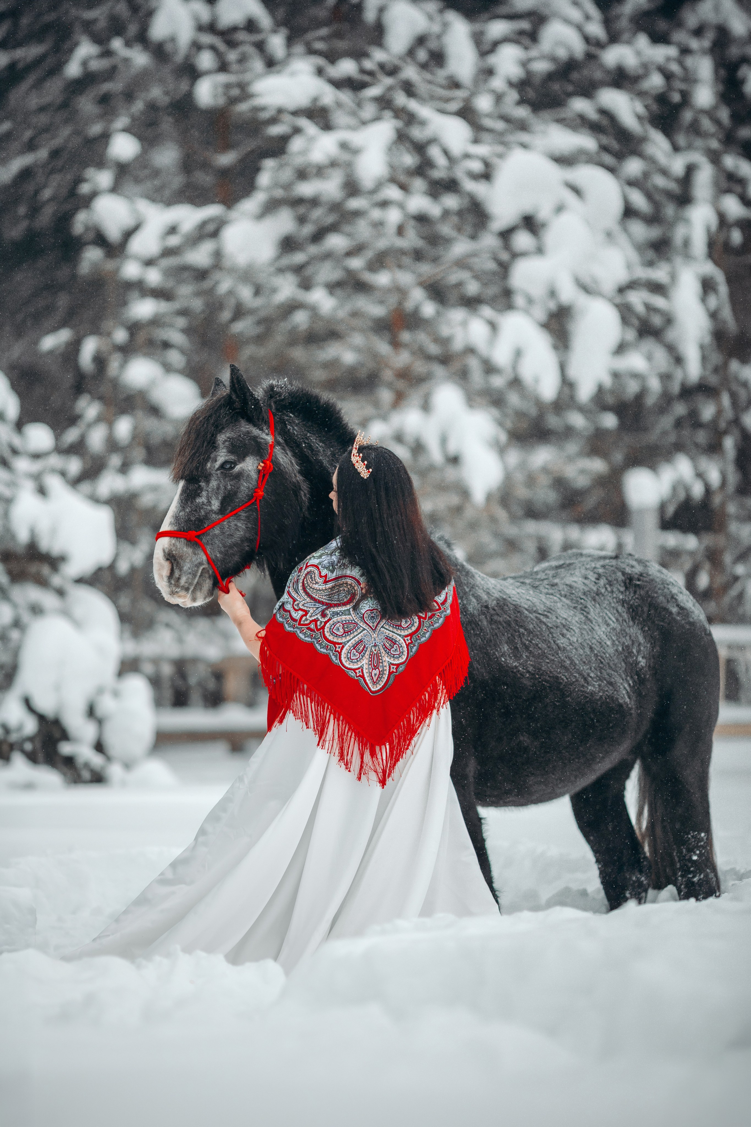 Яблоки на снегу. Анна Молчанова конный фотограф в Тюмени | фотосессии с лошадьми Тюмень