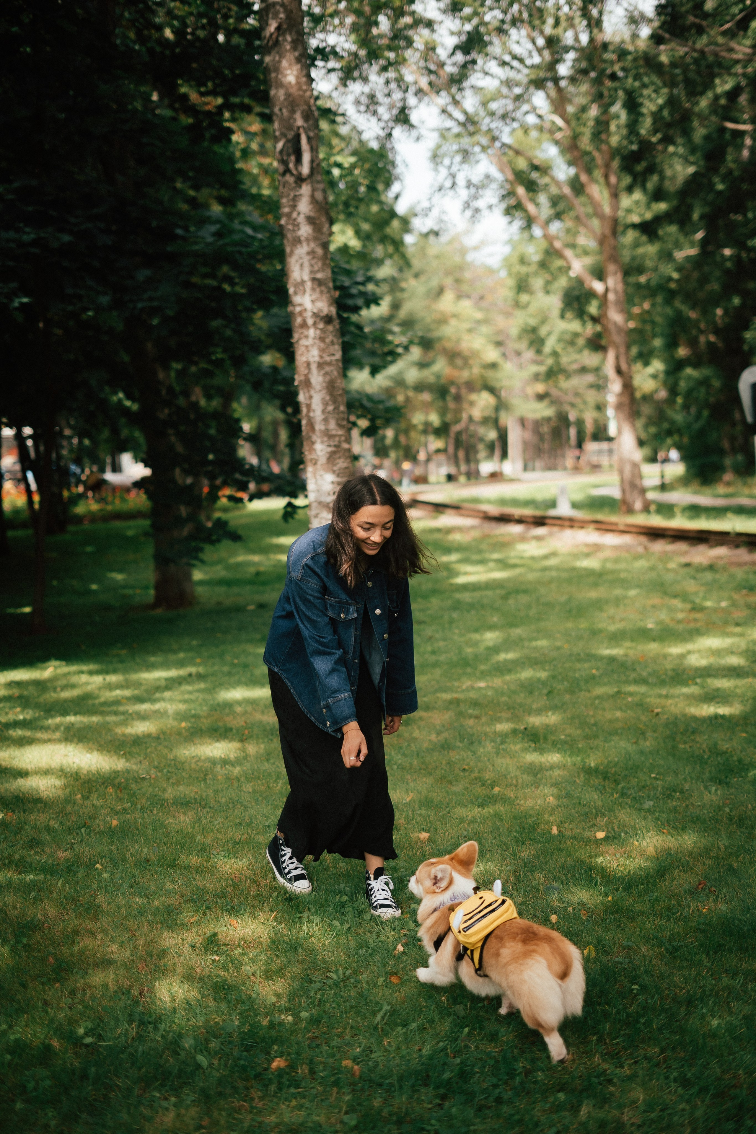 Фотосессия с собакой сахалин. Фотограф сахалин