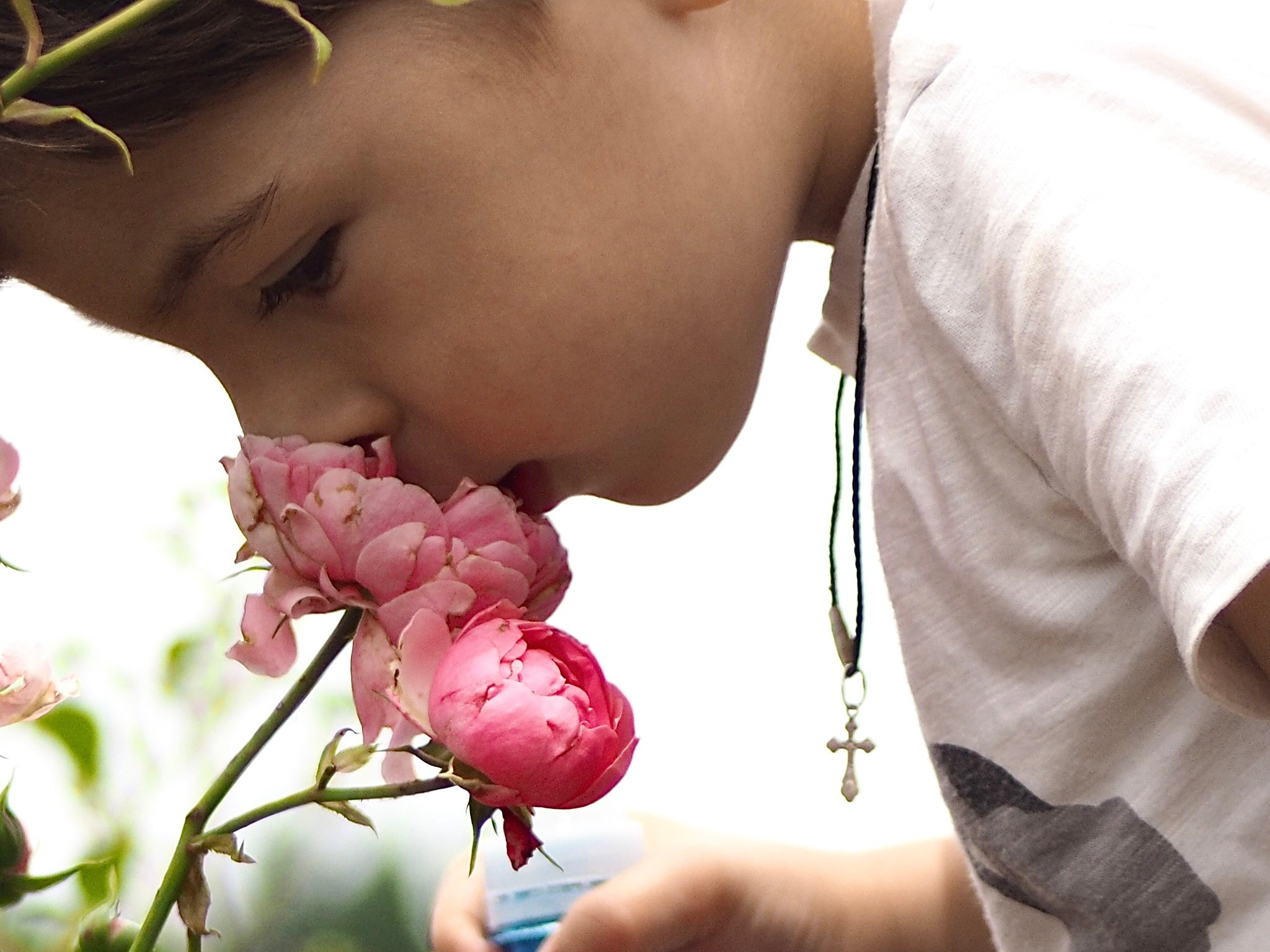 Дети. Смотри, красота!