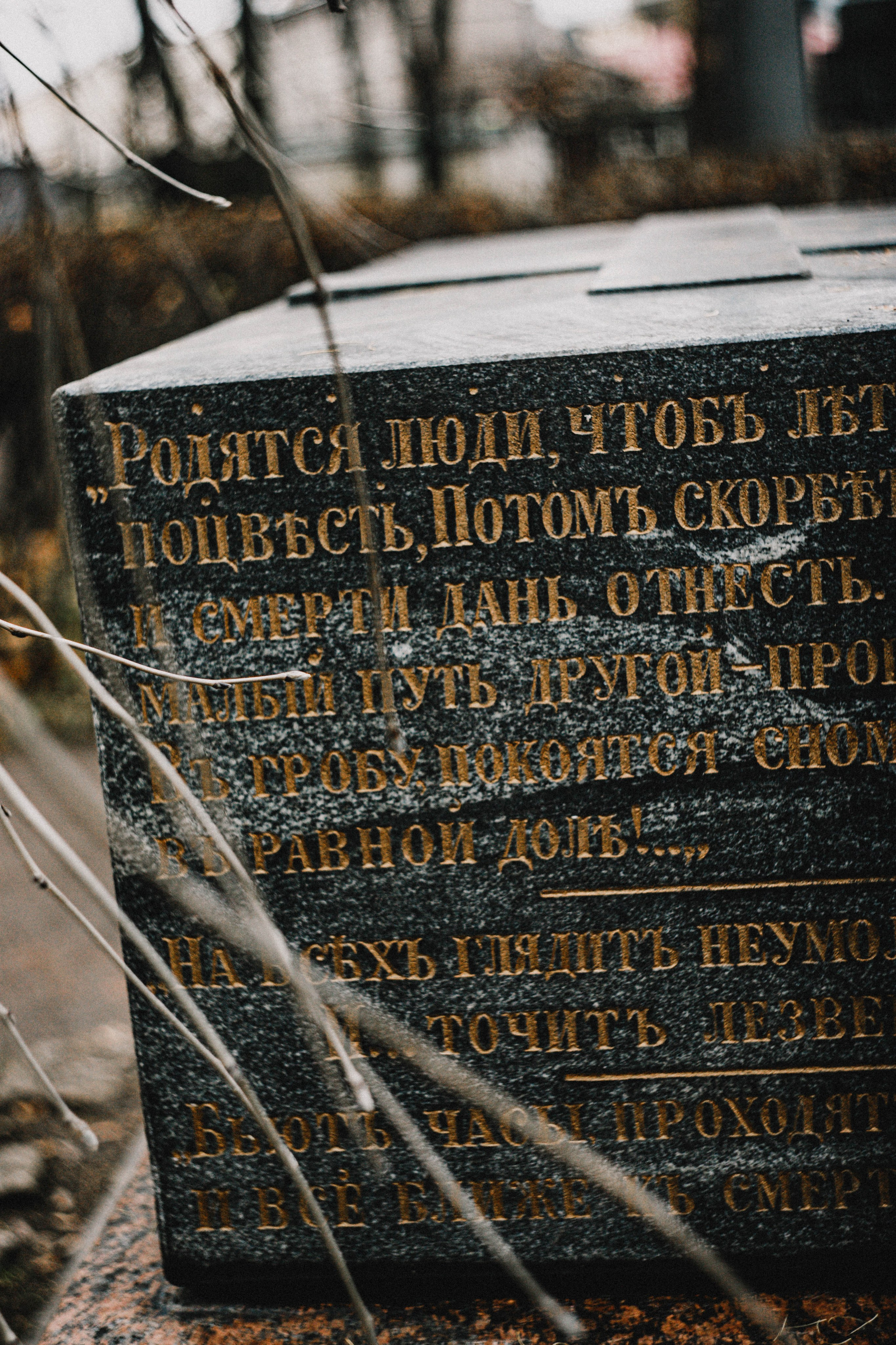 Питер / 24. Фотограф в Нижнем Новгороде