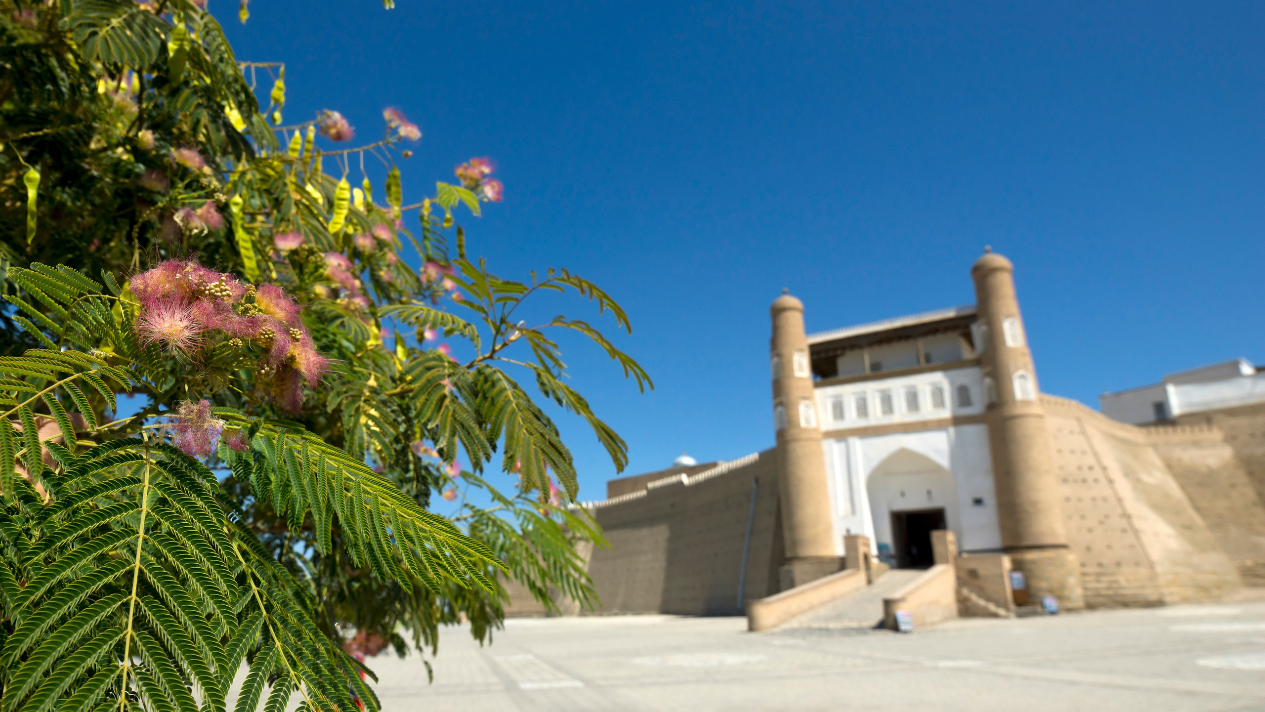 Узбекистан. Фотограф-путешественник Самойлов Максим «Sly Fox»