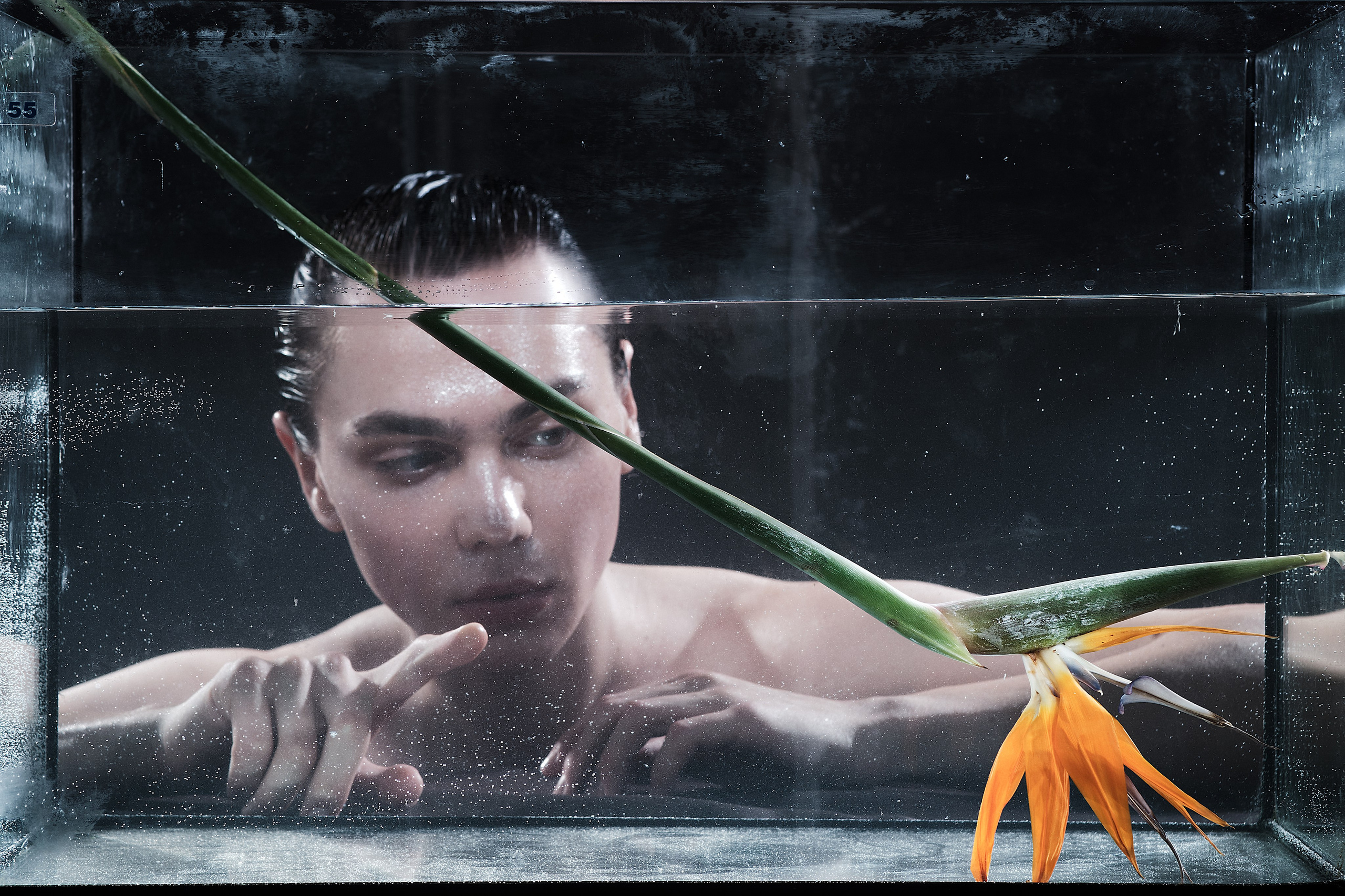 Closmain. Студийный фотограф в Москве Илья Сухов