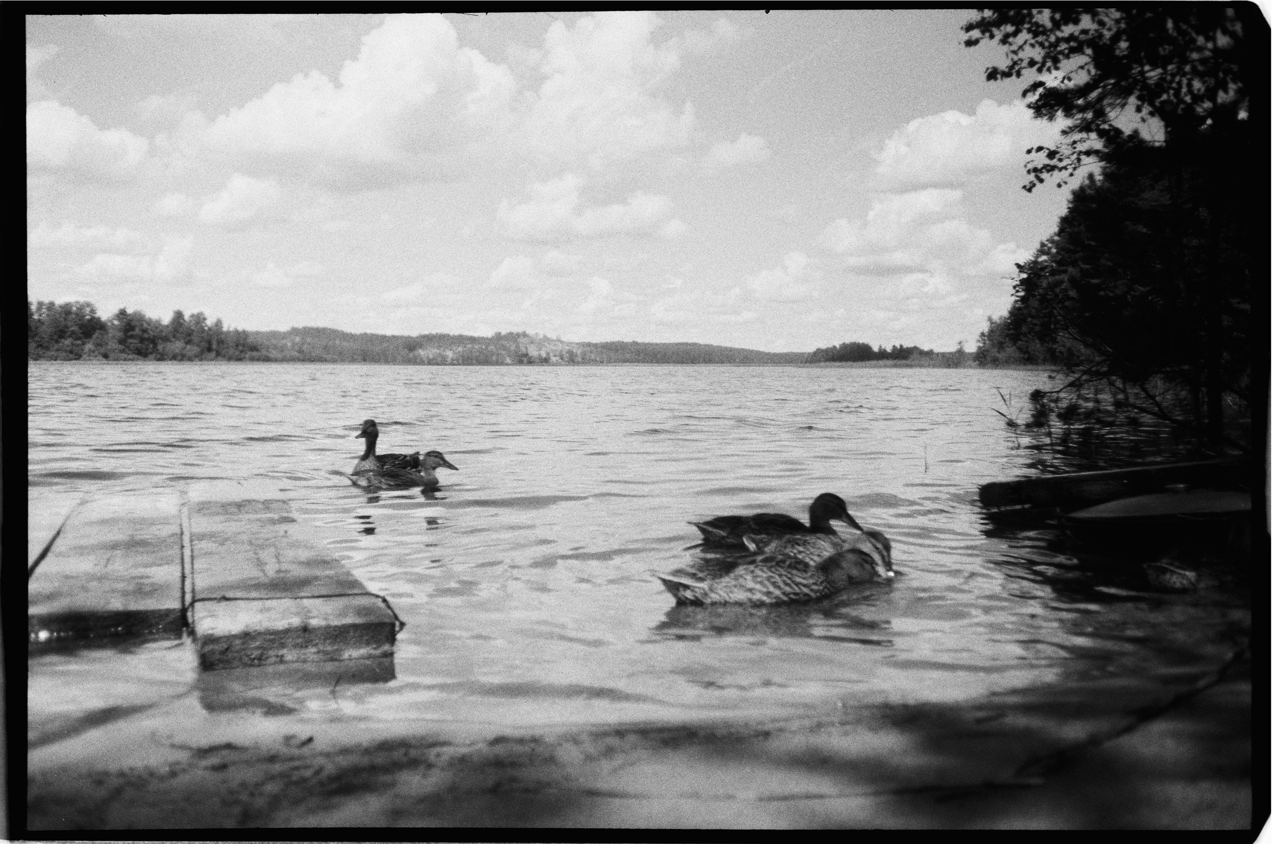 И вокруг меня. Портретный и концертный фотограф в Санкт-Петербурге Егор Телятников