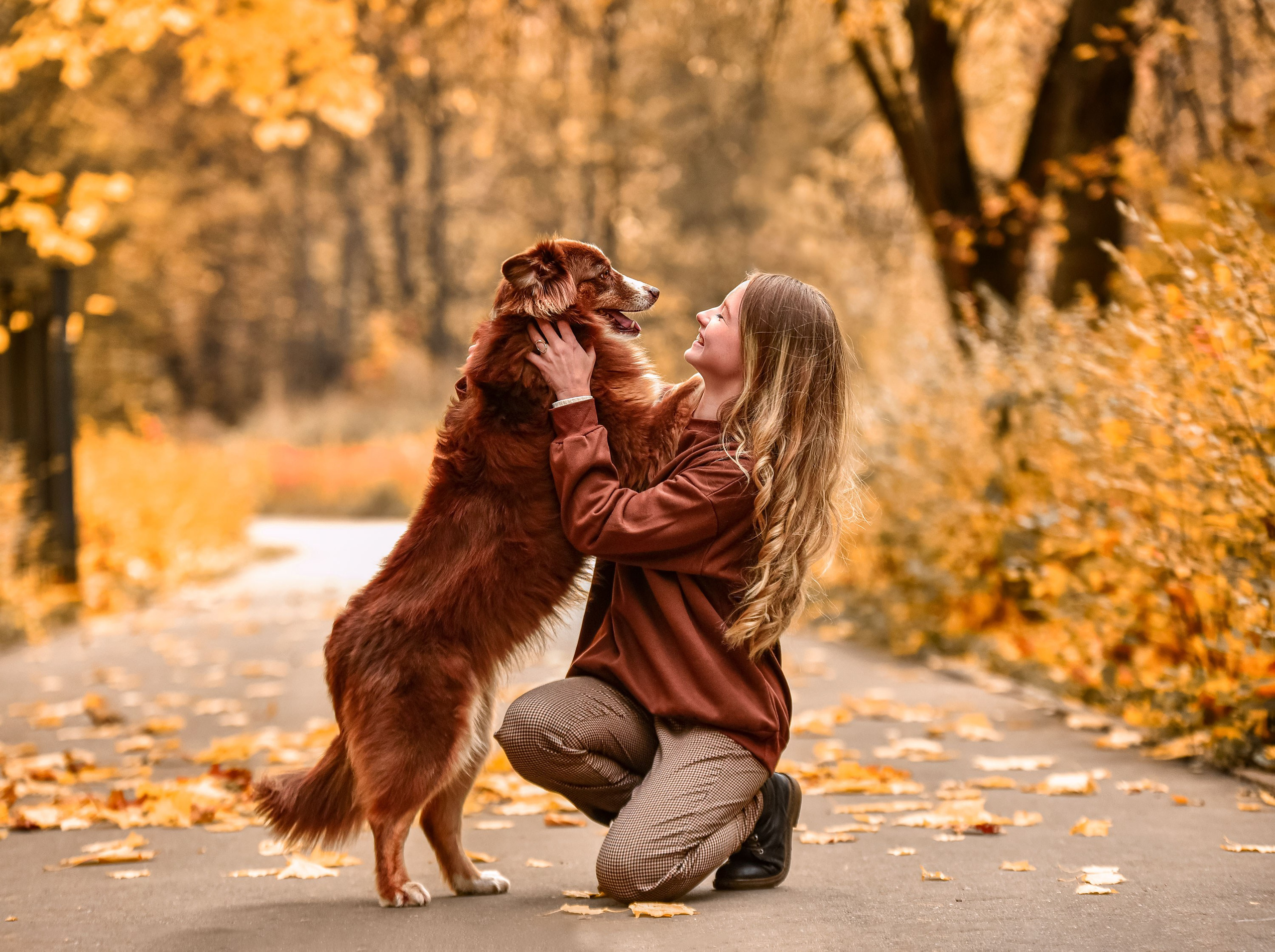 Фотопрогулка, семейная съемка, фотосессия с друзьями, фотосессия с питомцем, собака