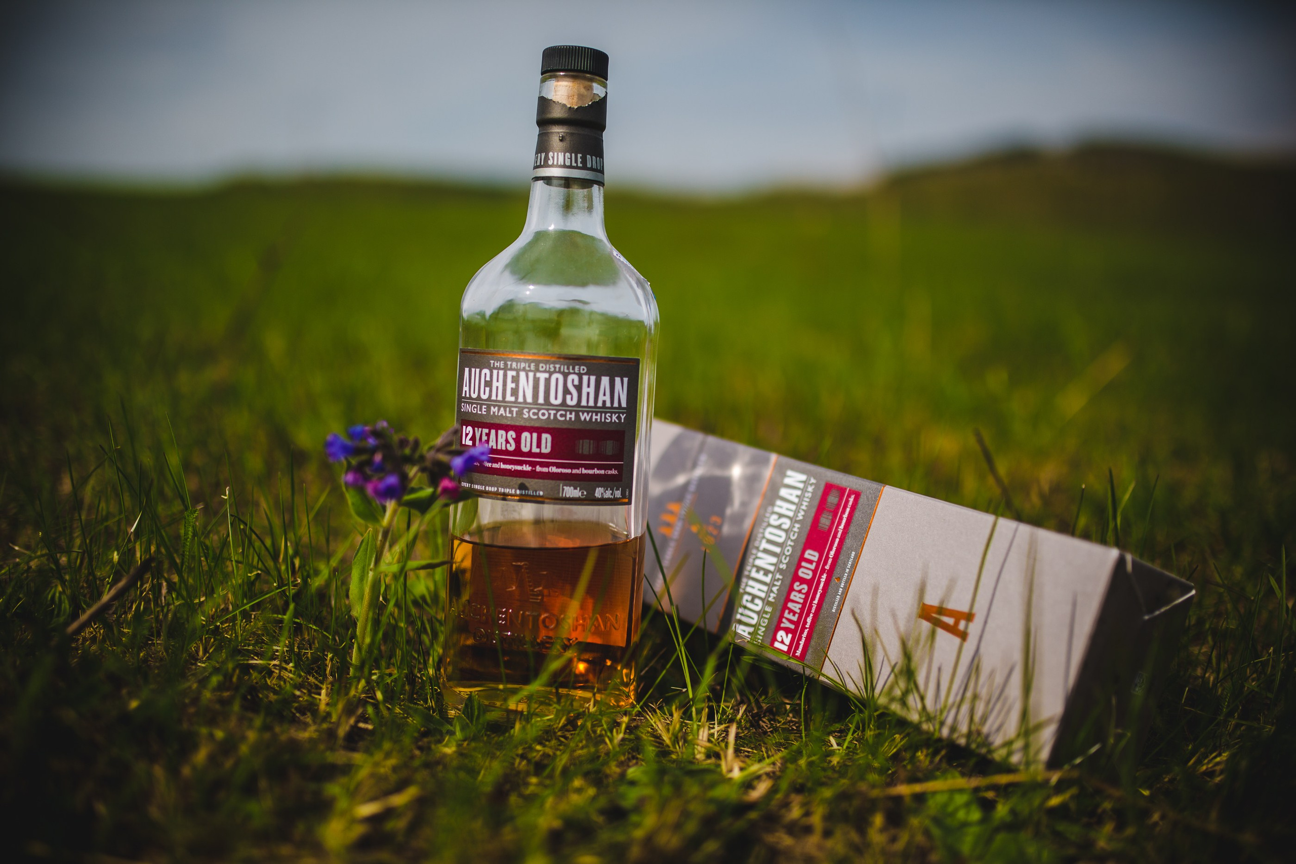 Whisky. Семейный и репортажной фотограф в Красноярске и Москве Виктор Бабинцев