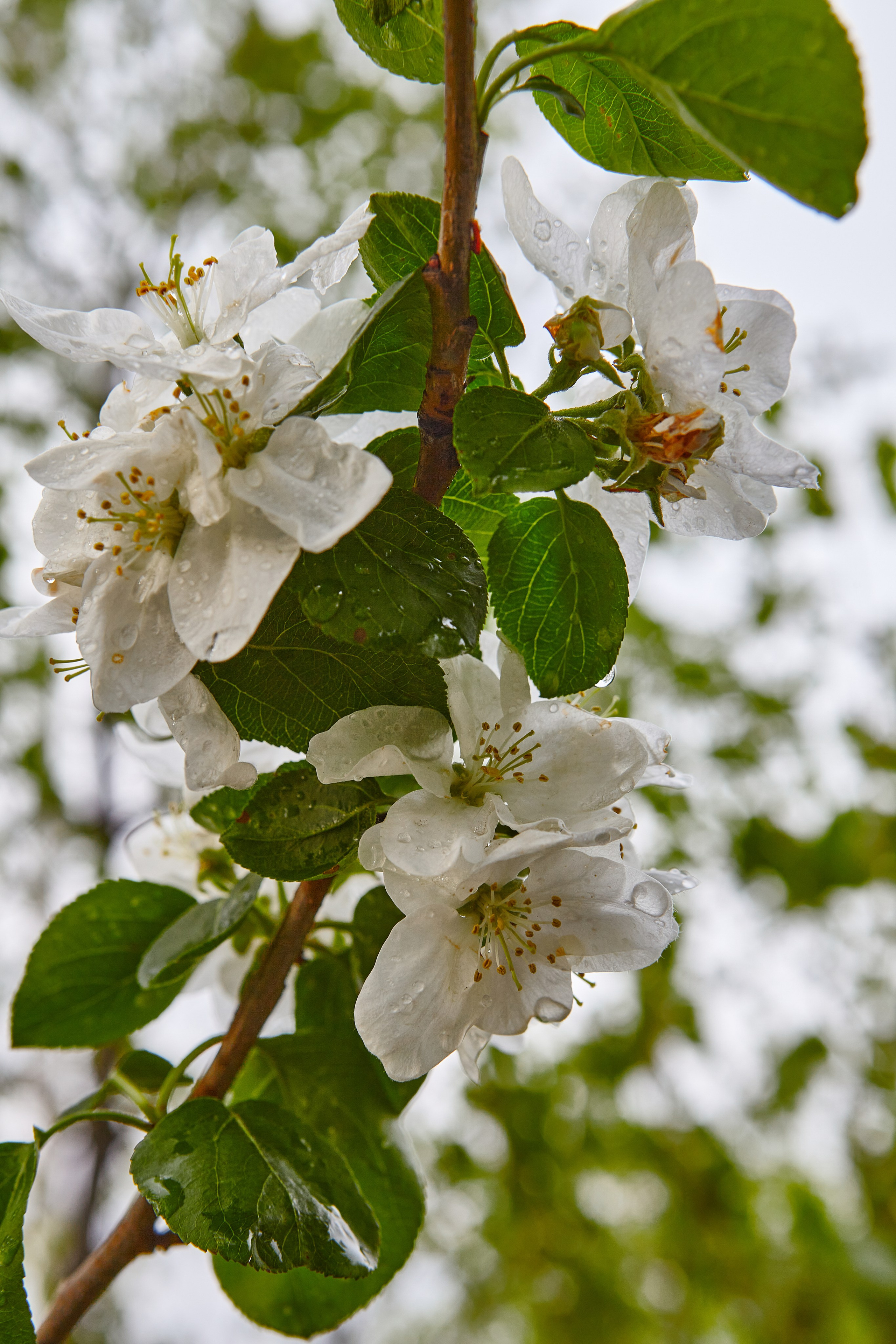 Фотографии природы