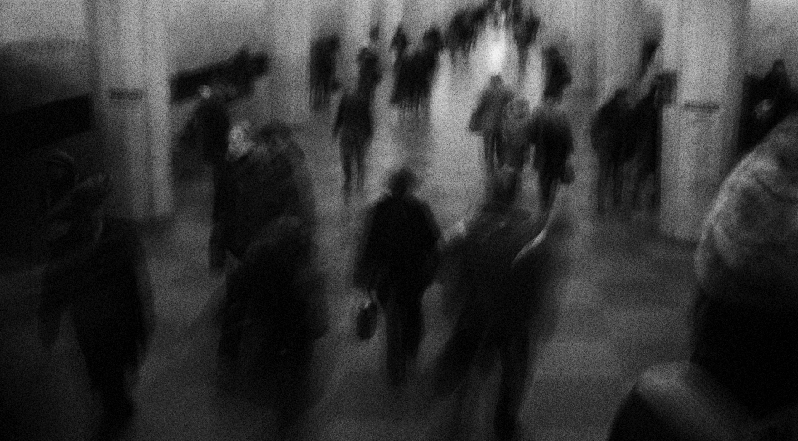 Работы. Свадебный фотограф в Москве Сафонова Анна