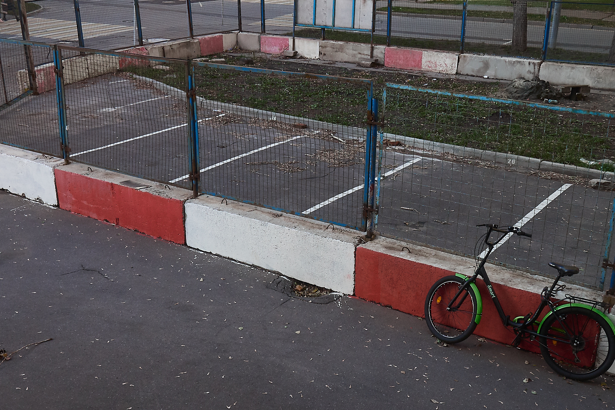 Забористая жизнь. Фотограф  Евгений Рыжов