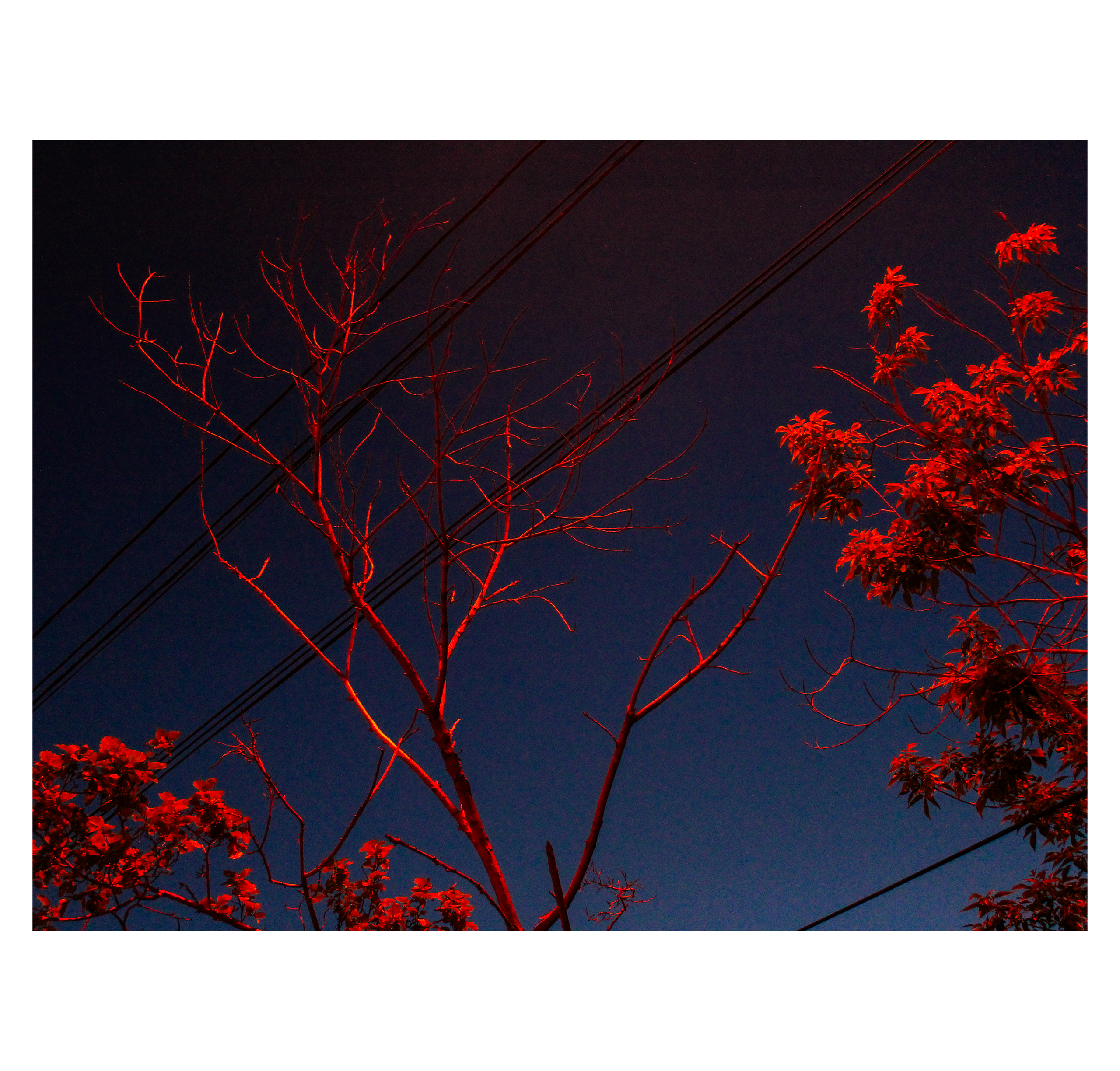 Summertime. Фотограф/дизайнер в Екатеринбурге Хитрый Дмитрий