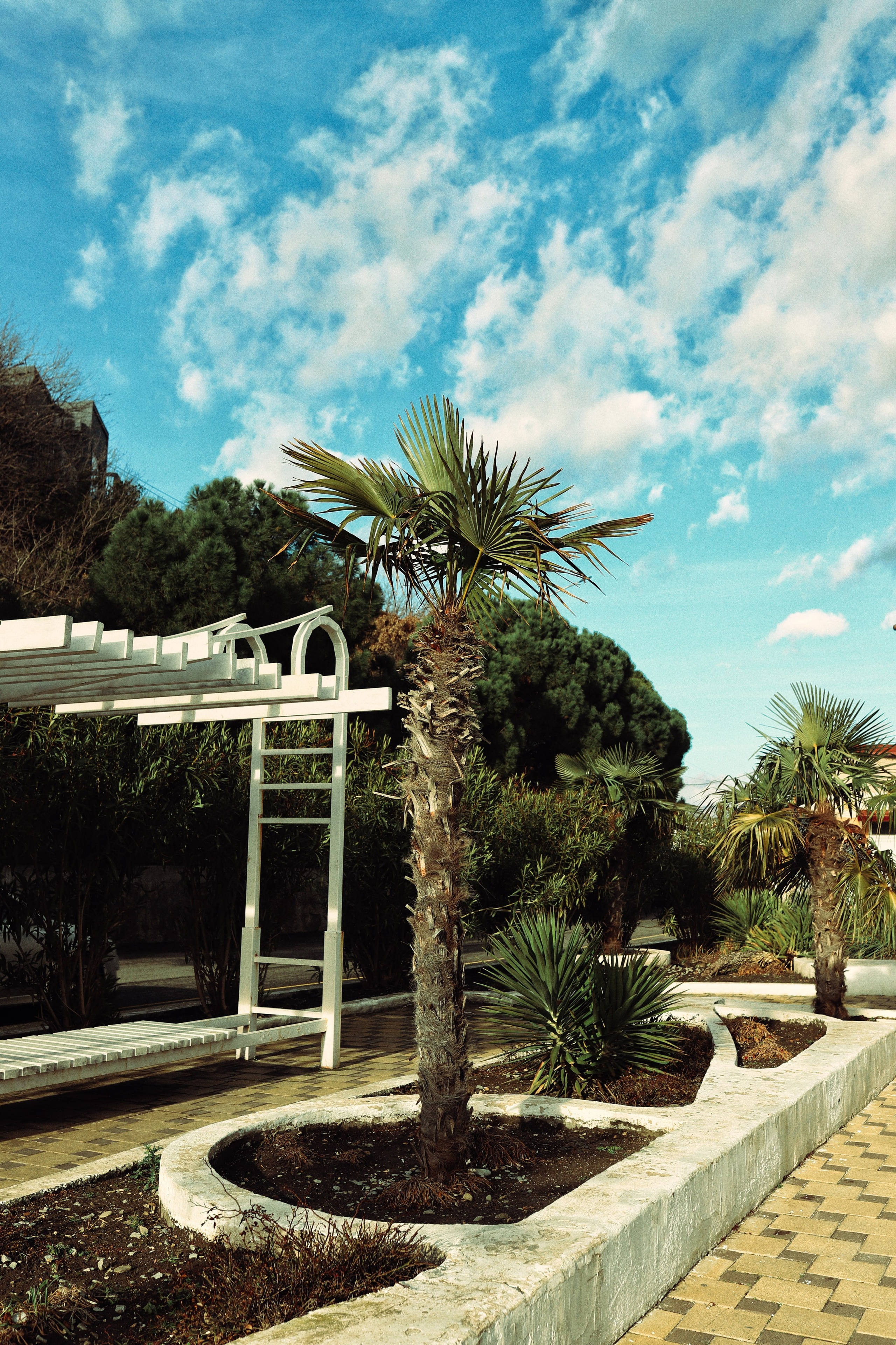 Алушта. Фотограф и видеограф в Санкт-Петербурге