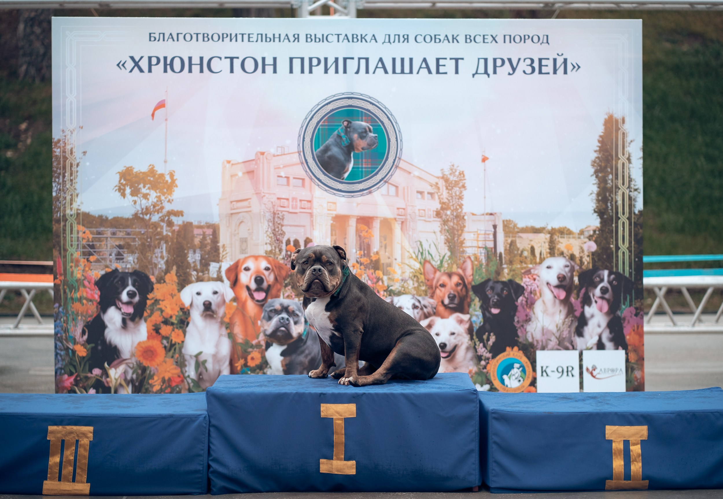 Благотворительная выставка собак в Новом Херсонесе г. Севастополь. Церковный фотограф Севастополь