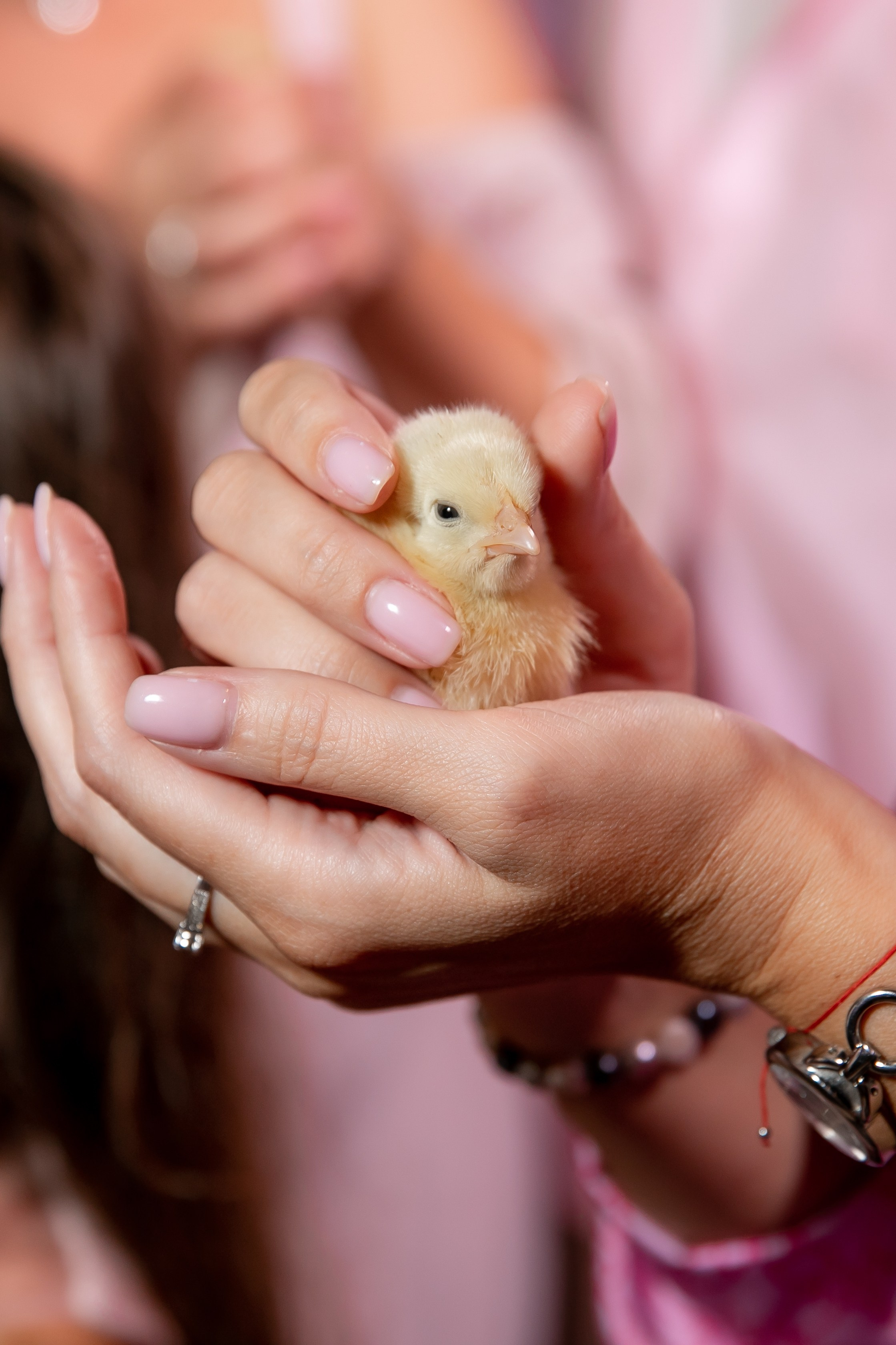 Дни рождения взрослые. Семейный фотограф в Москве