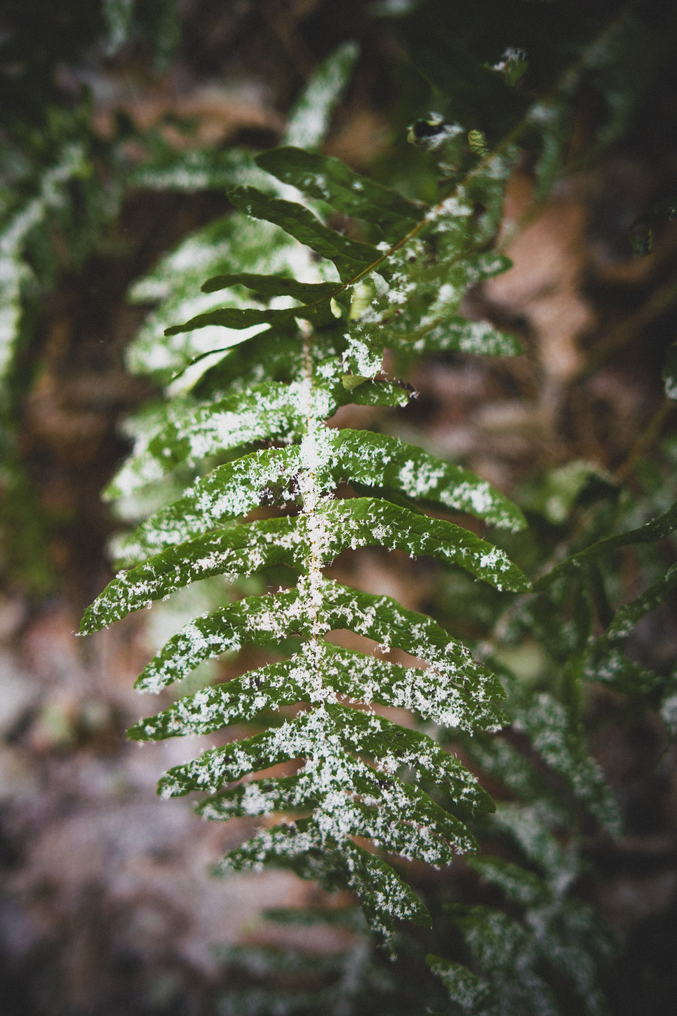 Морская фотосессия на побережье Балтийского моря. MAX MAGNETIC — фотограф в Санкт-Петербурге
