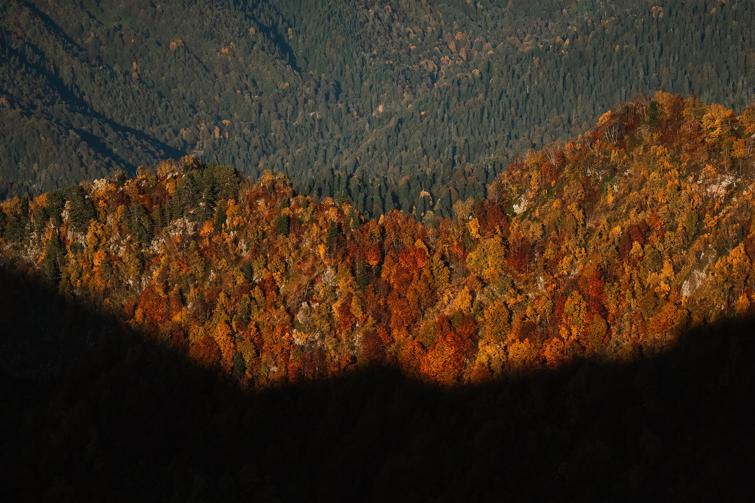 Роза Пик, тропа Турья ✽ Октябрь. Репортажный фотограф | Роза Хутор Красная Поляна Сочи Сириус