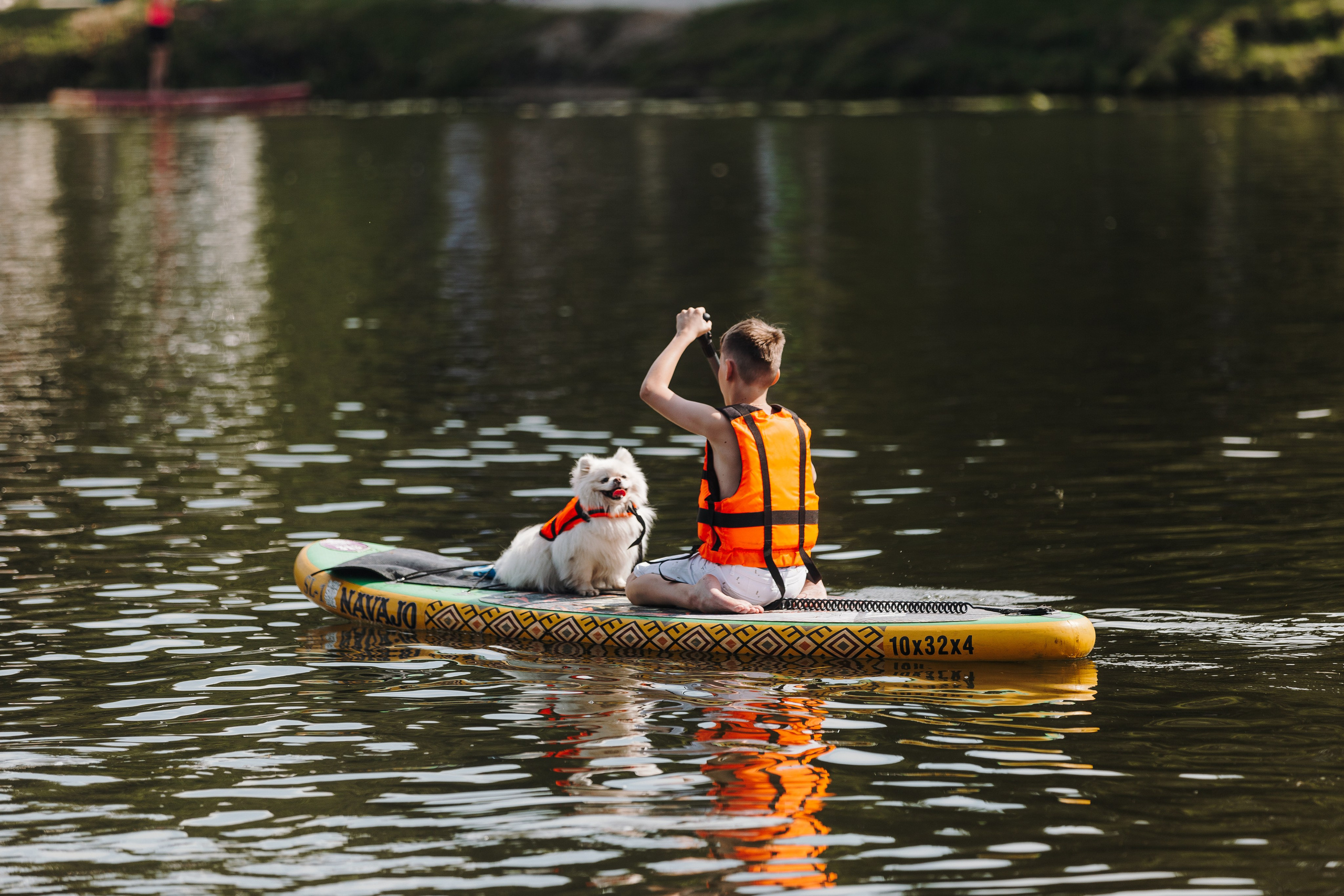 Petshop Sup day. Фотограф анималист Кристина Карпова, Москва