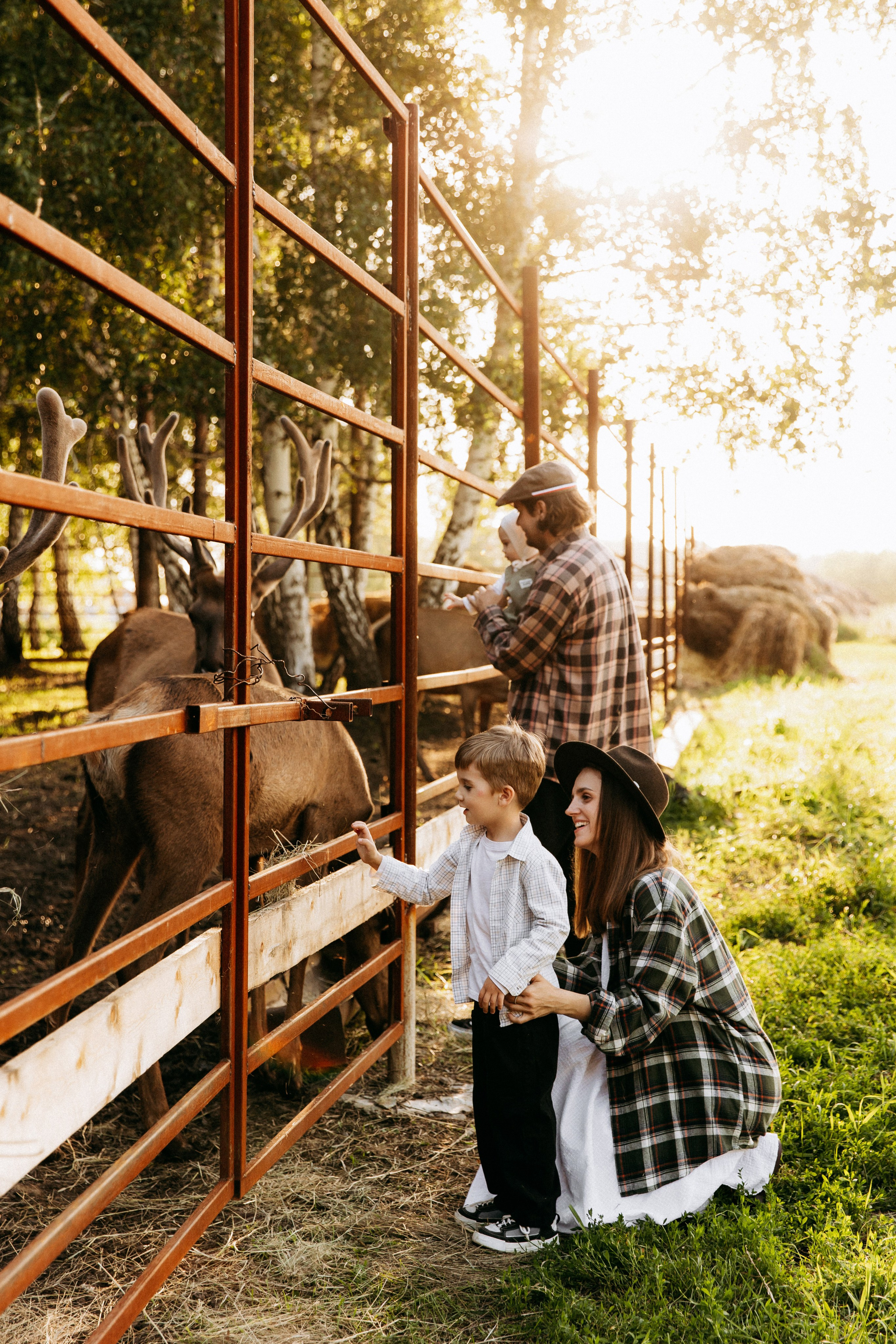 Ранчо. Главная