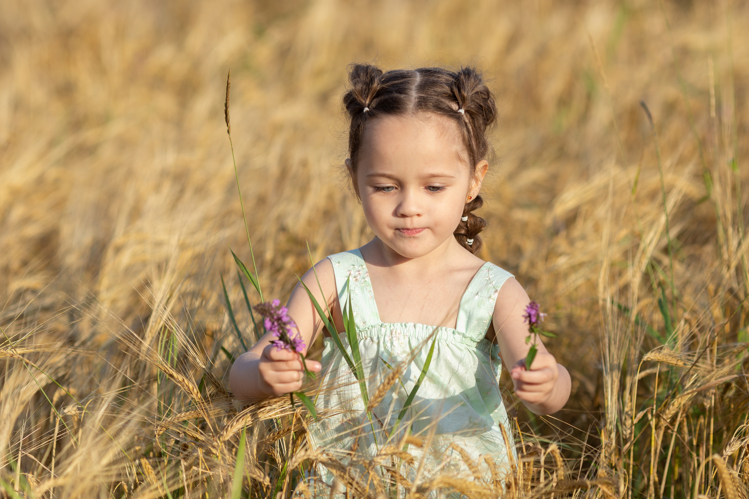 Настя. Вечер на ржаном поле. Актерское и модельное портфолио. Фотограф в Москве Екатерина Коломеец