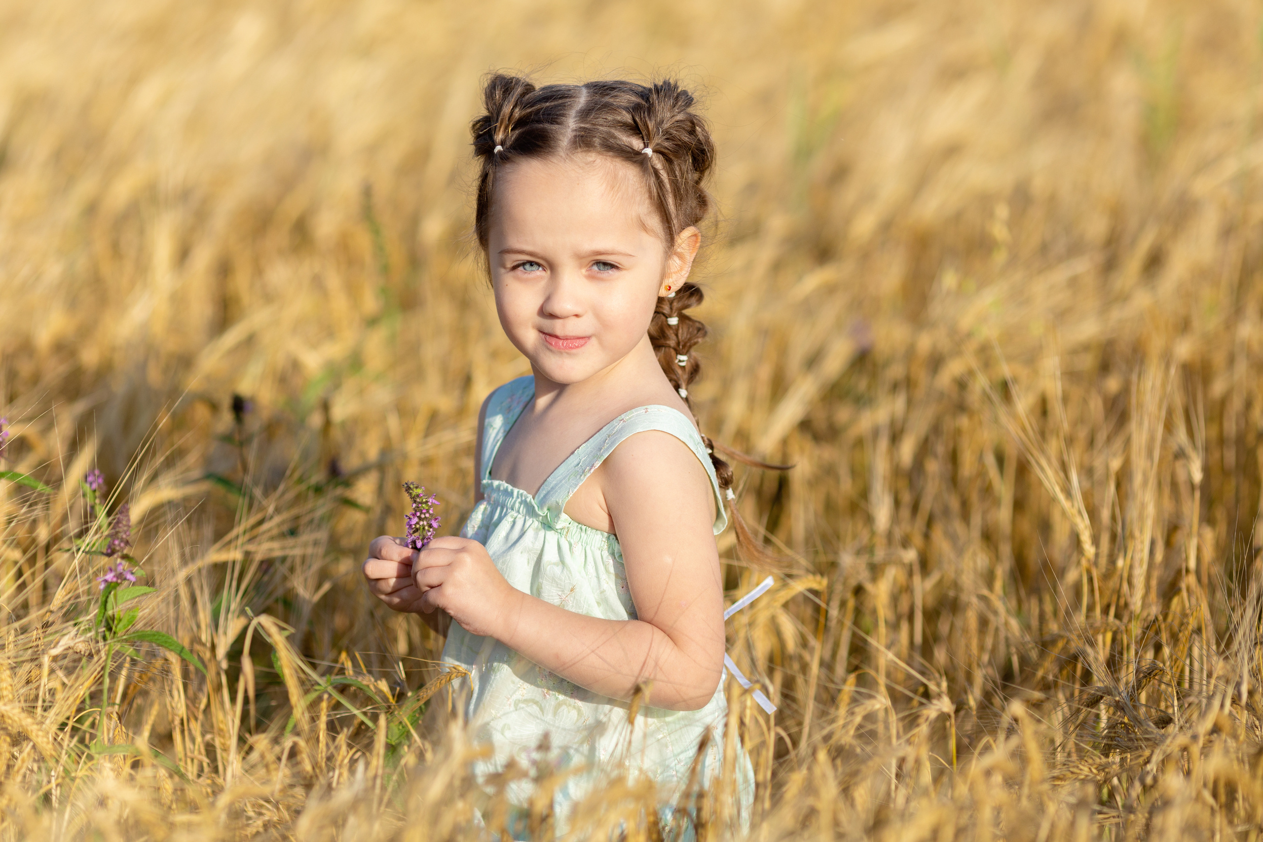 Настя. Вечер на ржаном поле. Актерское и модельное портфолио. Фотограф в Москве Екатерина Коломеец